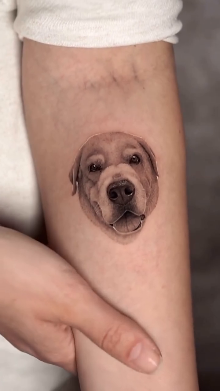 Dog portrait realism tattoo on the forearm by Tivas │ Tattoo Artist