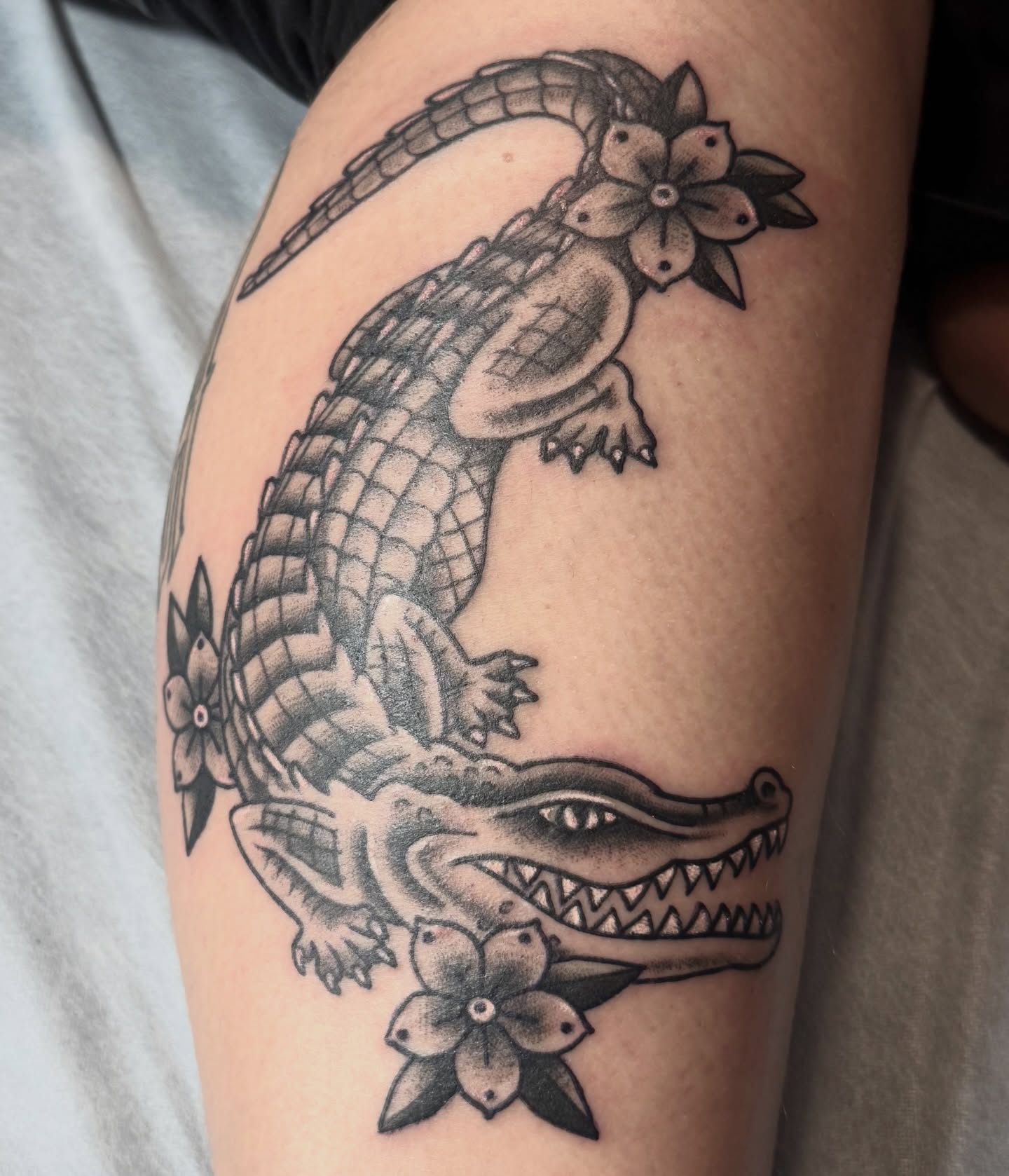Alligator American traditional tattoo on the forearm by Bronzino Ink - Karen, Asheville, North Carolina