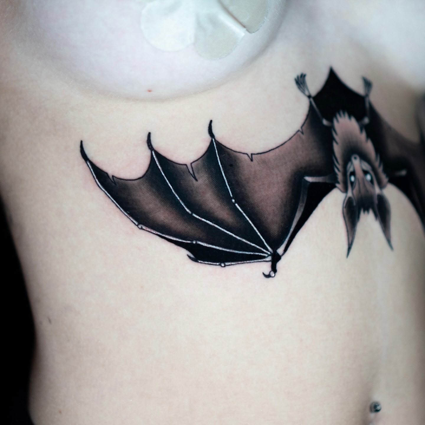 Bat black and grey tattoo on the chest by Jorden Ruppe