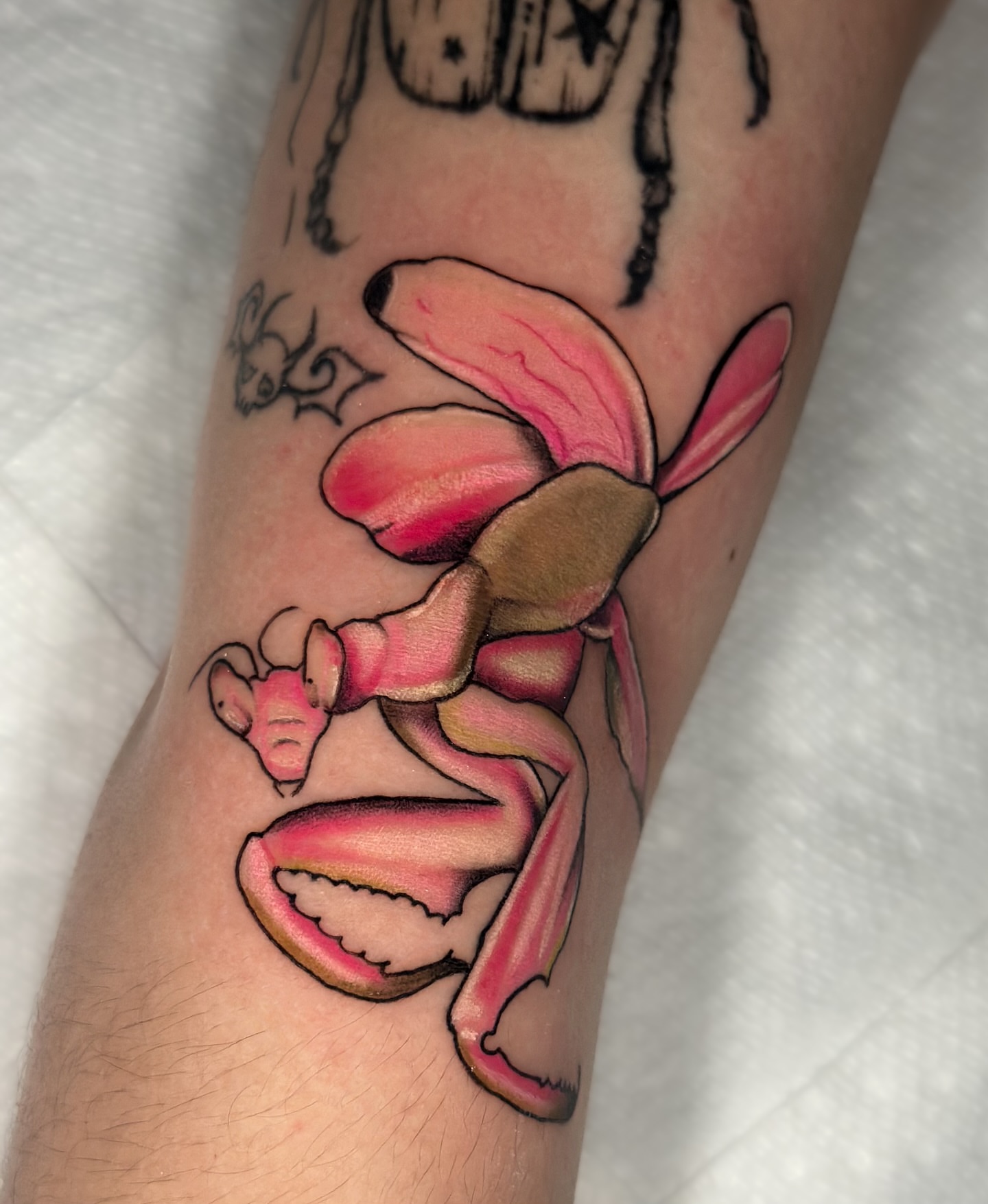 Piglet new school tattoo on the forearm by zoe mars
