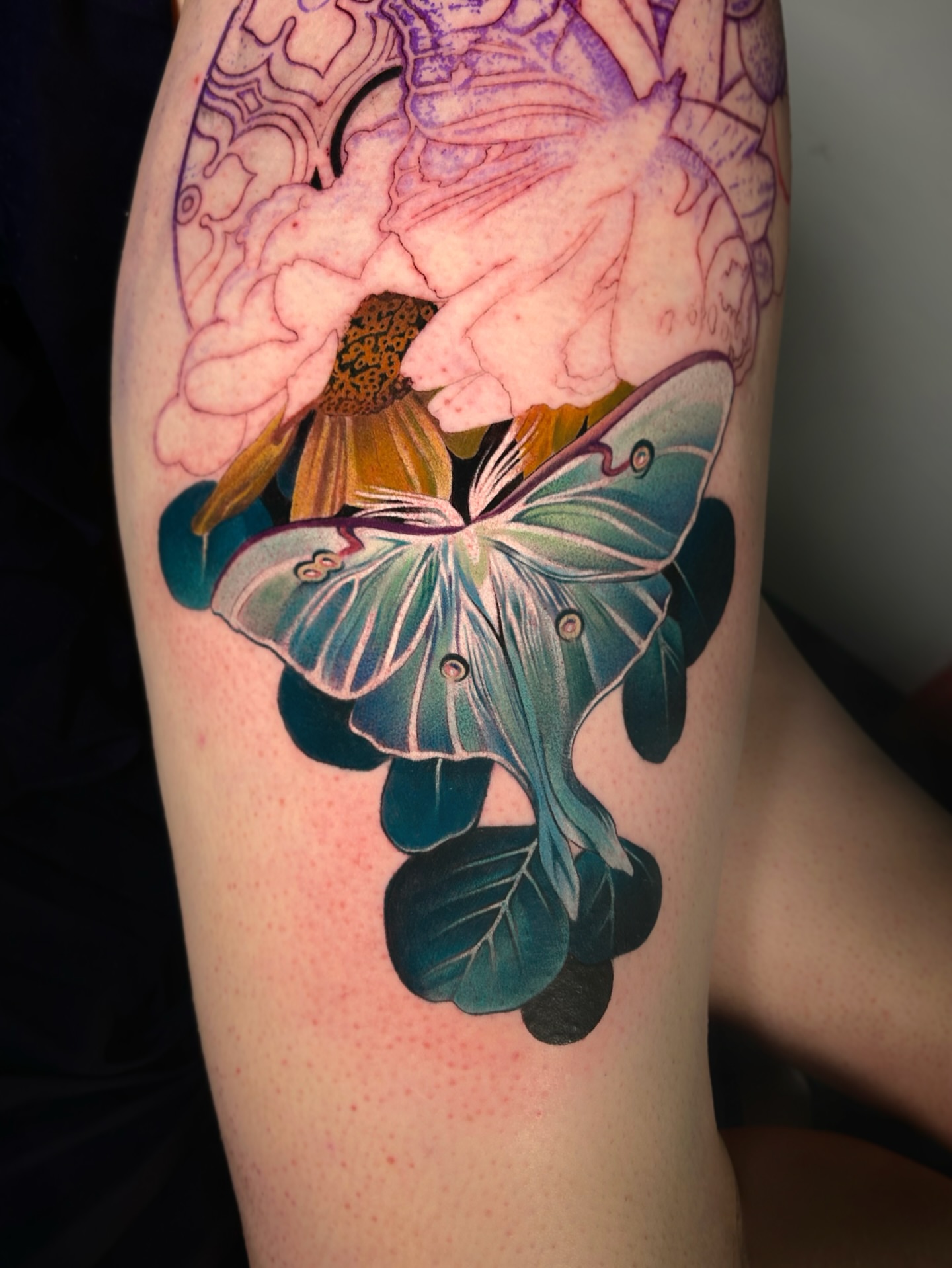Tattoo by @burtsbenis — new_school, realism