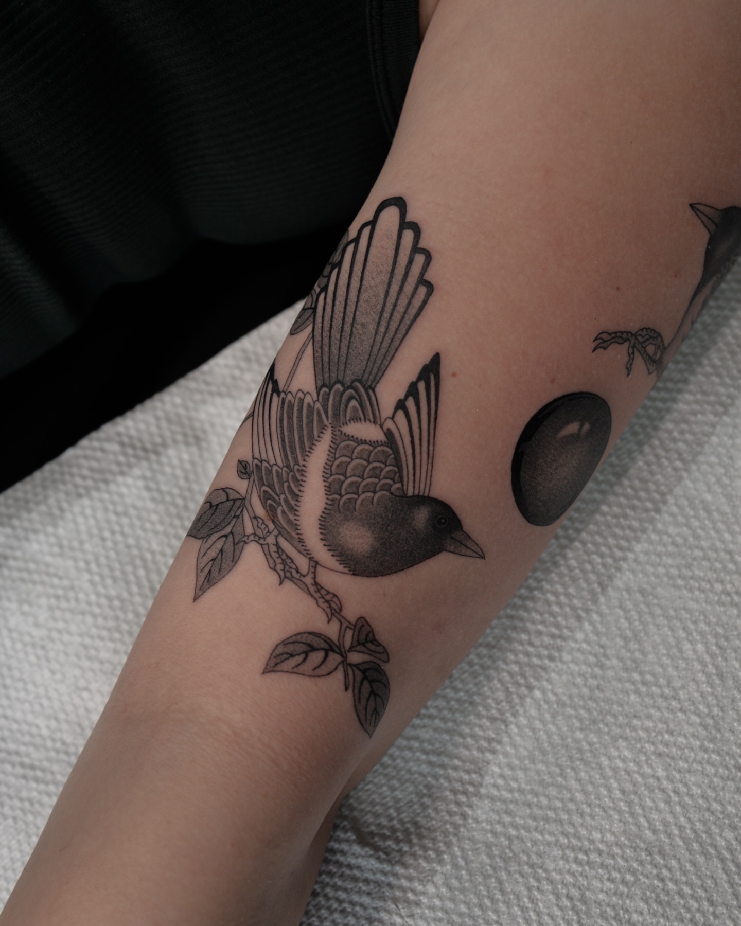 Bird black and grey tattoo on the forearm by zak brochu, Windsor, Ontario