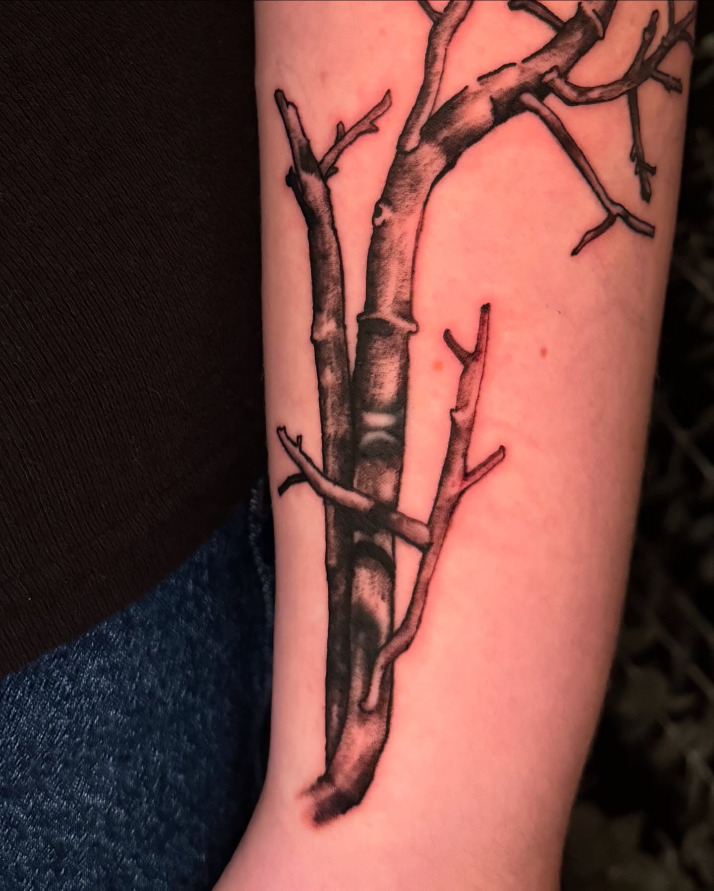 Tree branches black and grey tattoo on the forearm by marlena borscheid