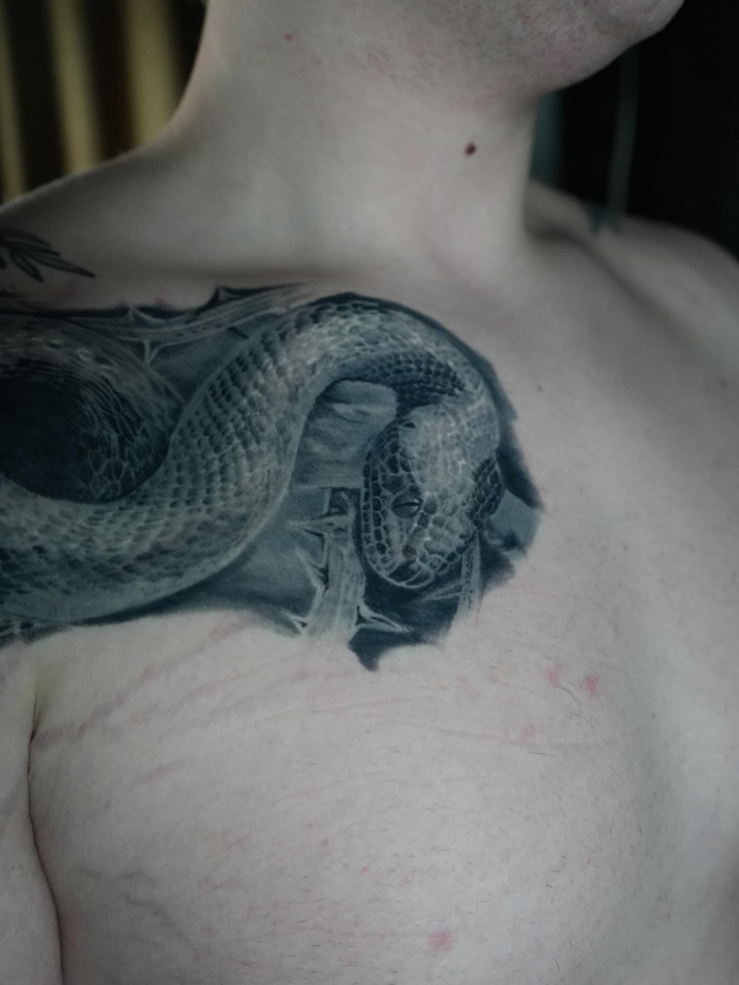 Tattoo by @mattallsman.tattoo — realism