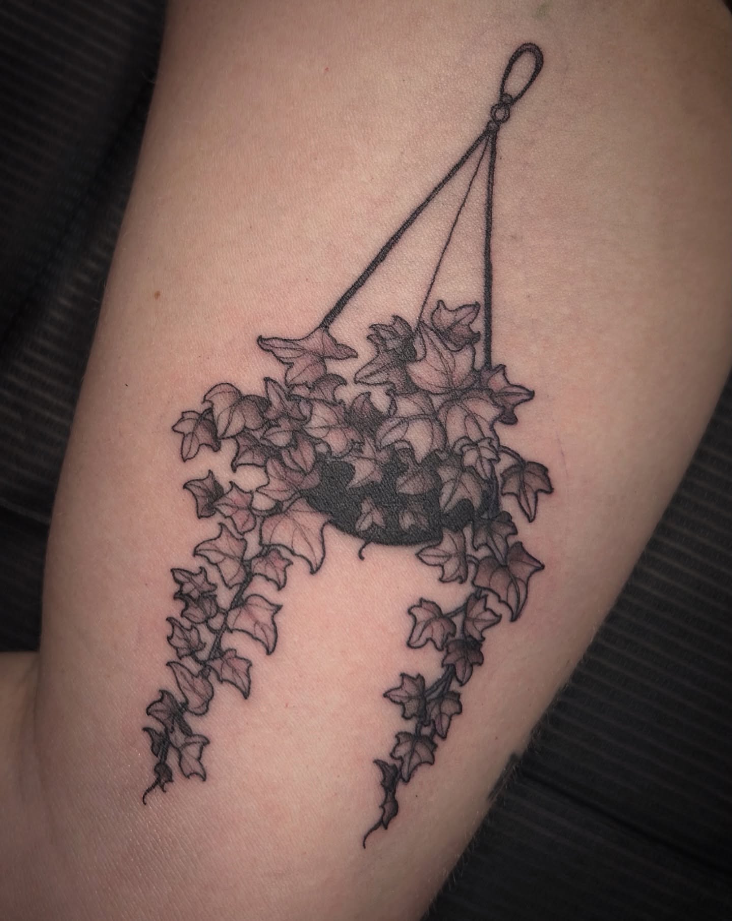 Hanging plant black and grey tattoo on the forearm by ꧁𝙺𝚊𝚛𝚒𝚗𝚊꧂, Grinnell, Iowa