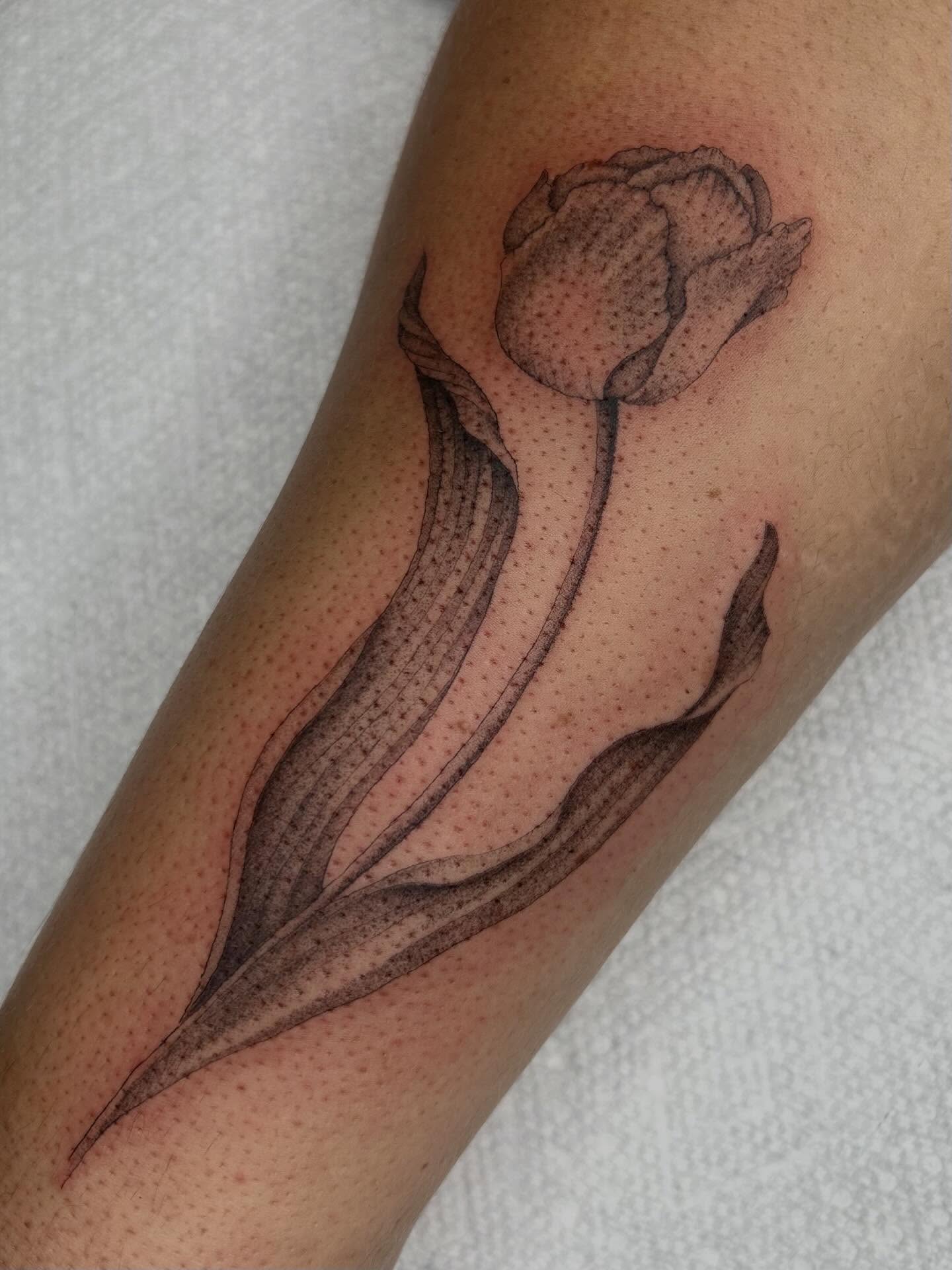 Tulip dotwork tattoo on the forearm by Olivia Fox