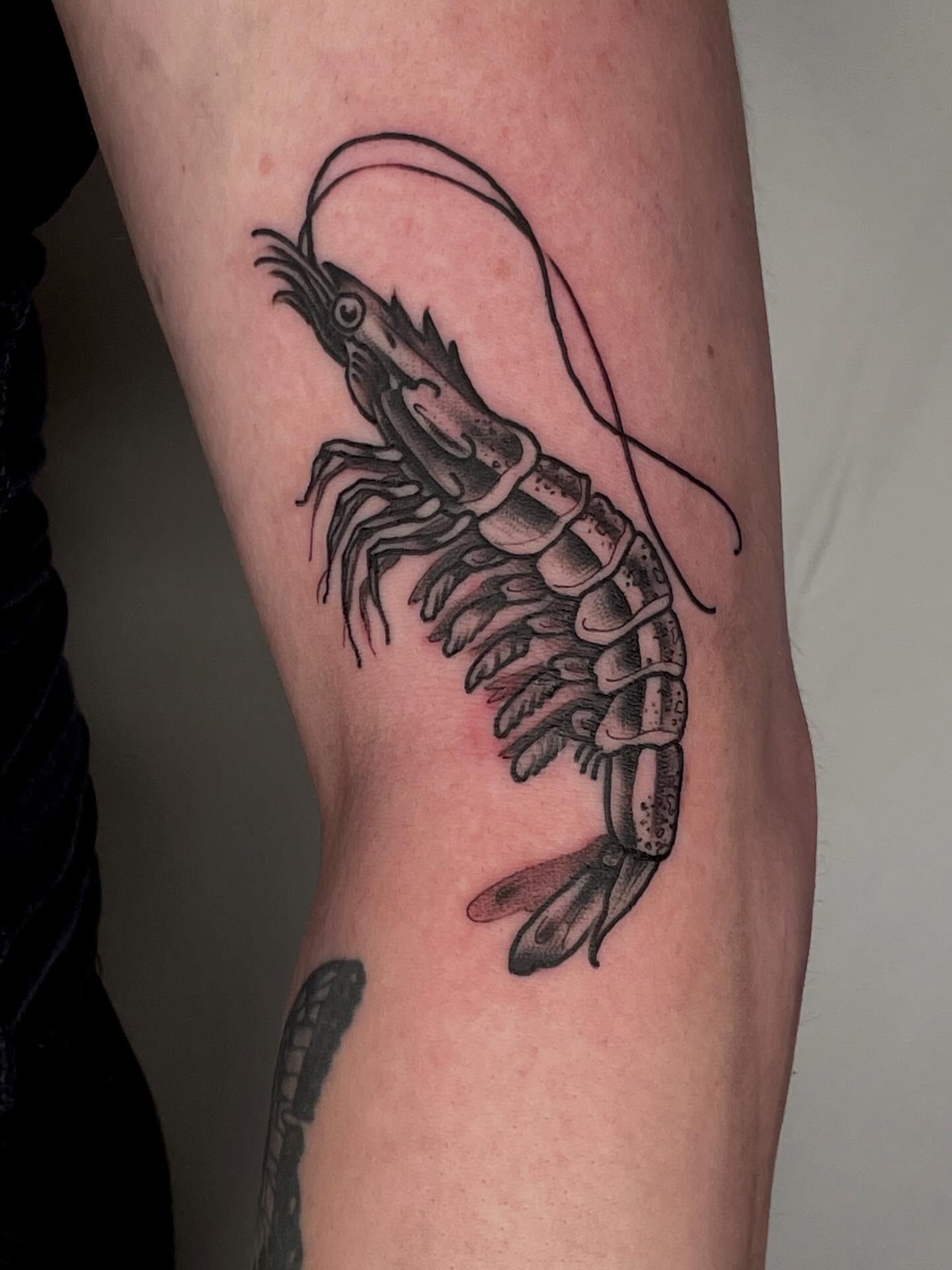 Prawn black and grey tattoo on the forearm by G. Clover ⚧︎, Chicago, Illinois