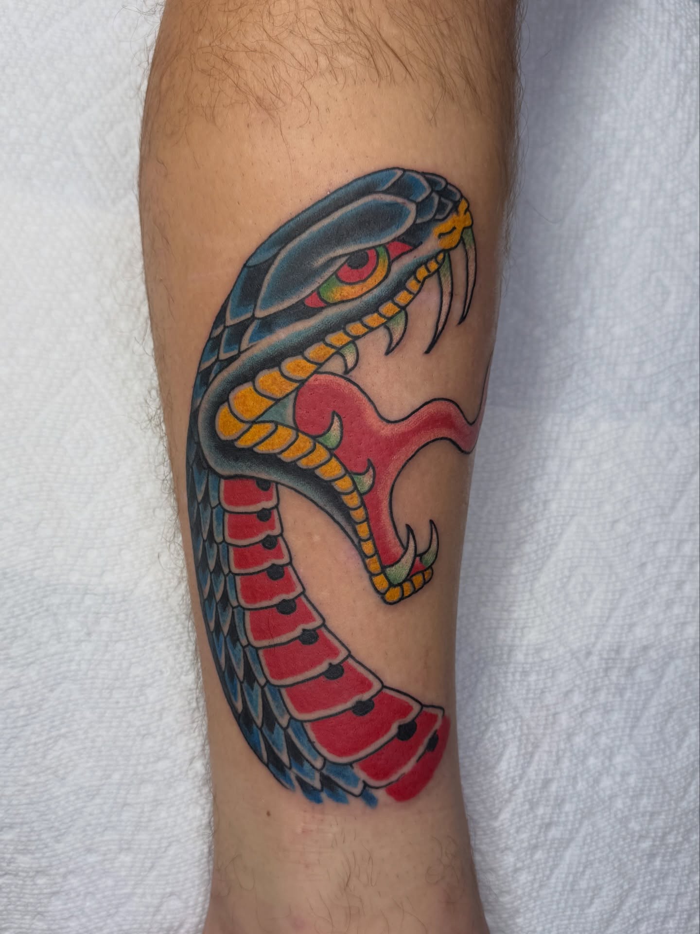 Snake American traditional tattoo on the forearm by Zak Colburn