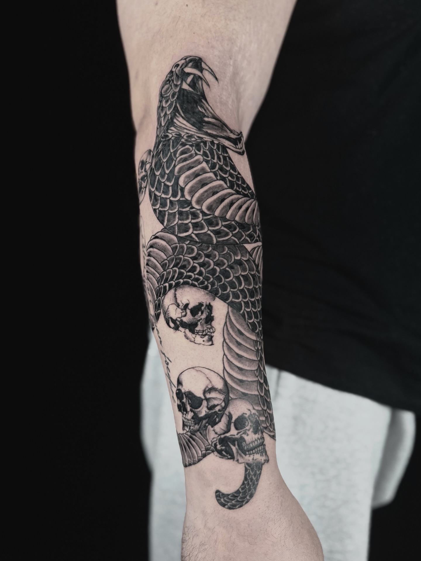 Snake and skulls realism tattoo on the forearm by Abi