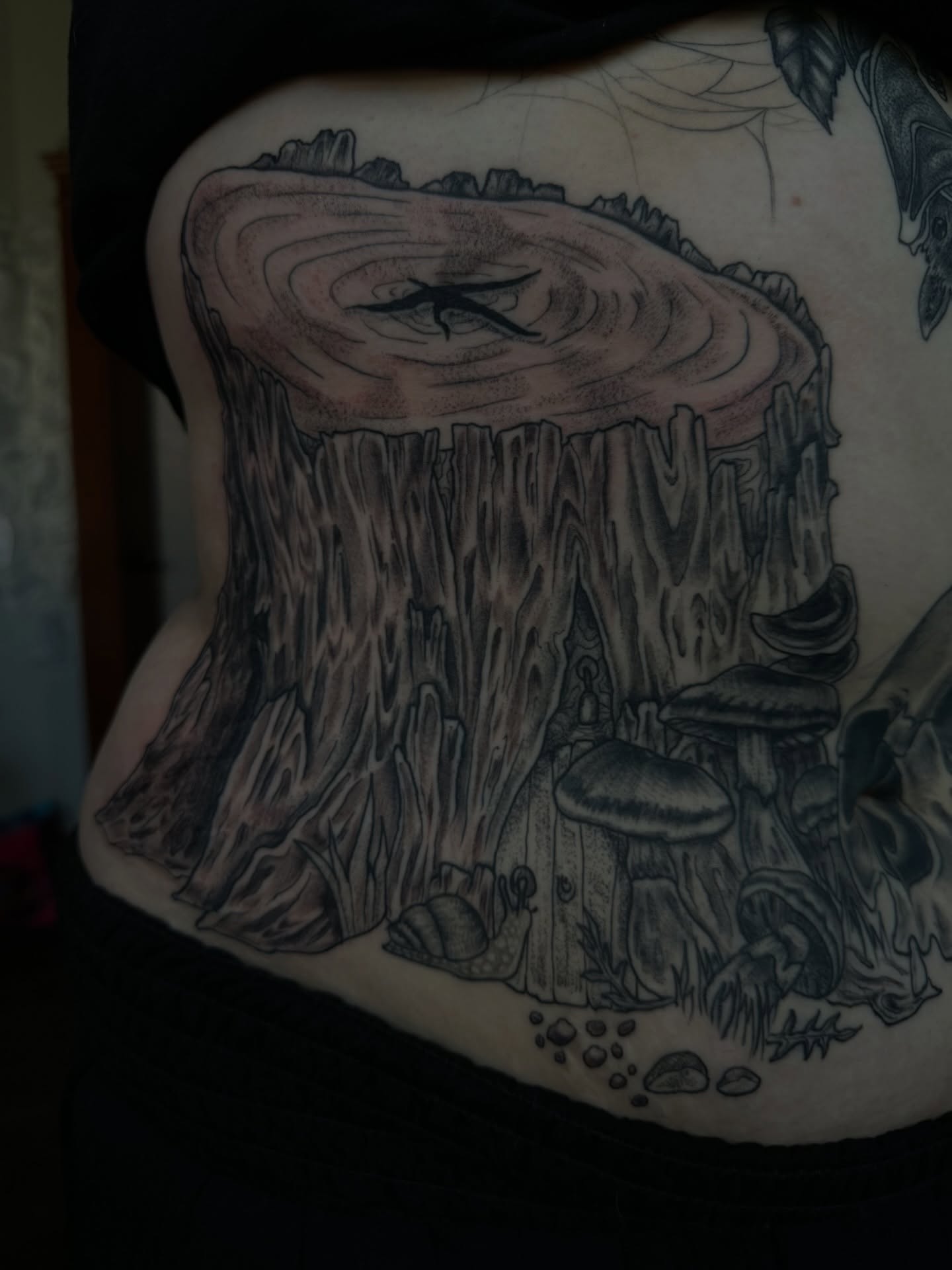 Tree stump black and grey tattoo on the torso by แดแด ๐ฎ๐ท ๐ฆ๐ซ