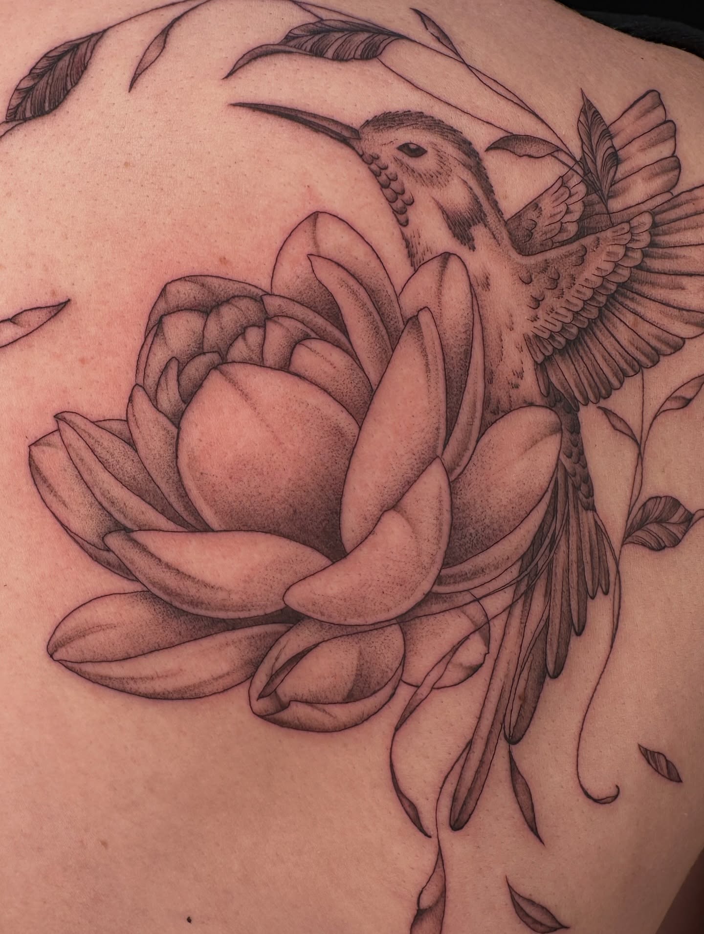 Lotus flower and hummingbird realism tattoo on the back by Hail Chaney, Somerville, Massachusetts