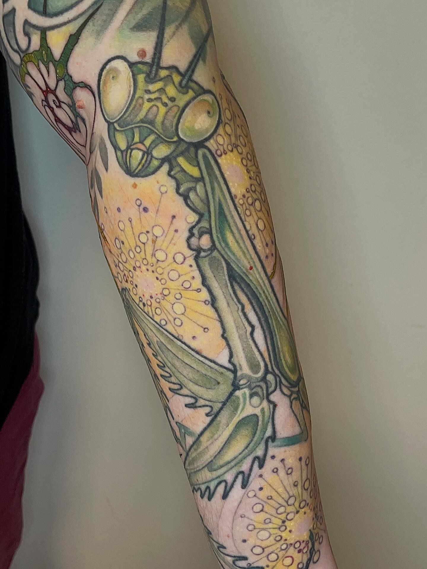 Praying mantis watercolor tattoo on the forearm by Samantha Castrovinci, Durham, North Carolina