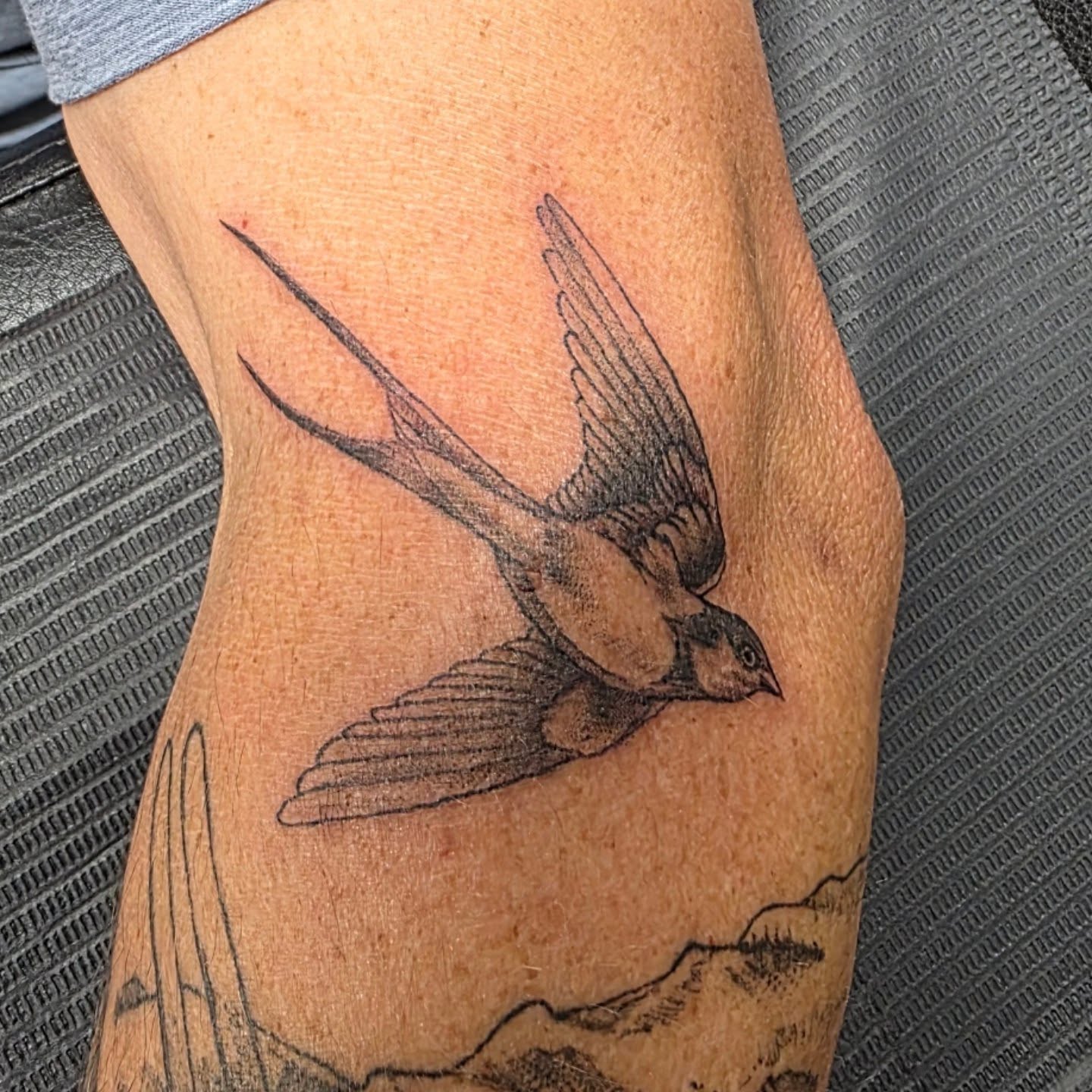 Swallow black and grey tattoo on the forearm by Bosco Layne