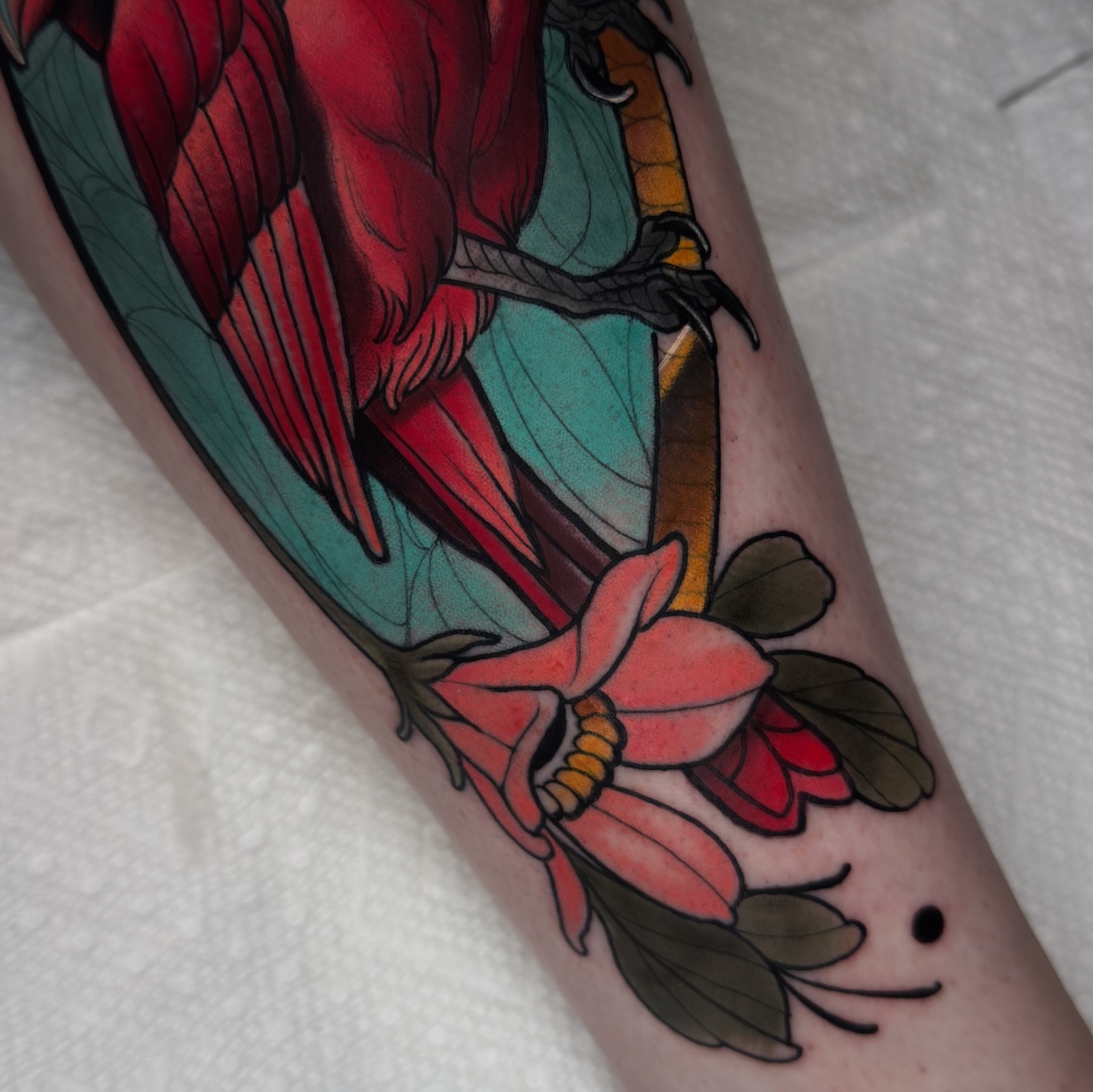Parrot and flower American traditional tattoo on the forearm by Golden Heart Tattoo Co