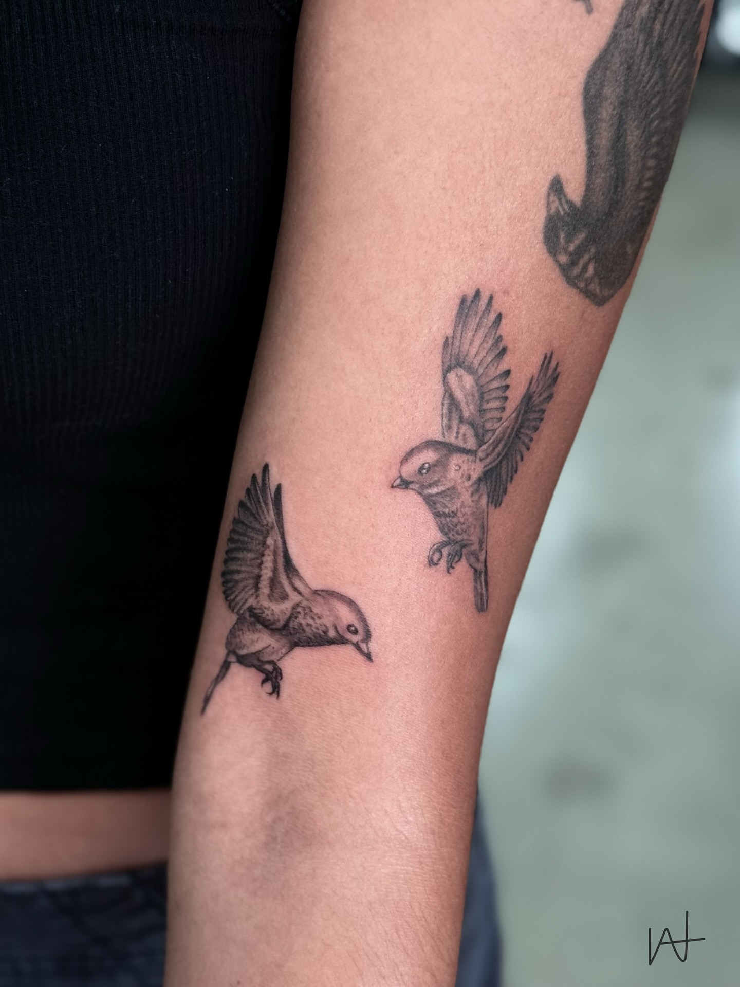 Birds realism tattoo on the forearm by Kat Parmu