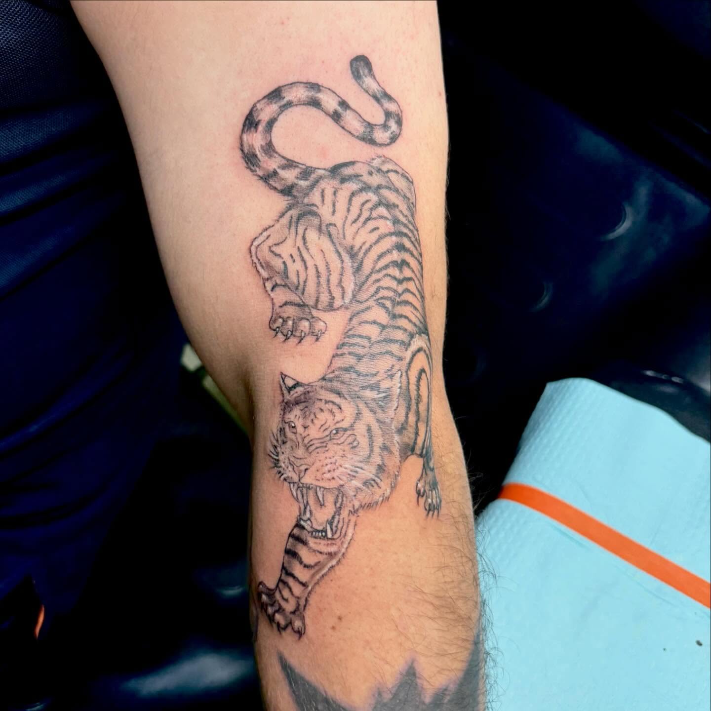 Tiger black and grey tattoo on the forearm by Nina Rush