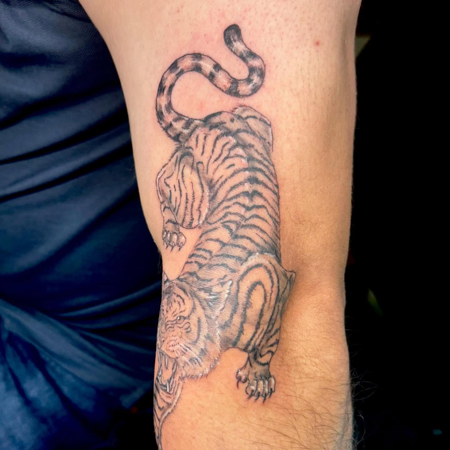Tiger black and grey tattoo on the forearm by Nina Rush