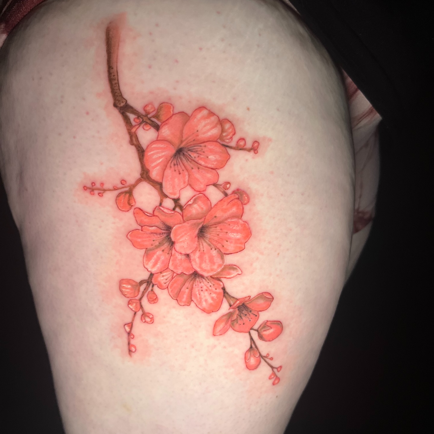 Cherry blossoms watercolor tattoo on the thigh by ใใใ๐บ๐ฒ