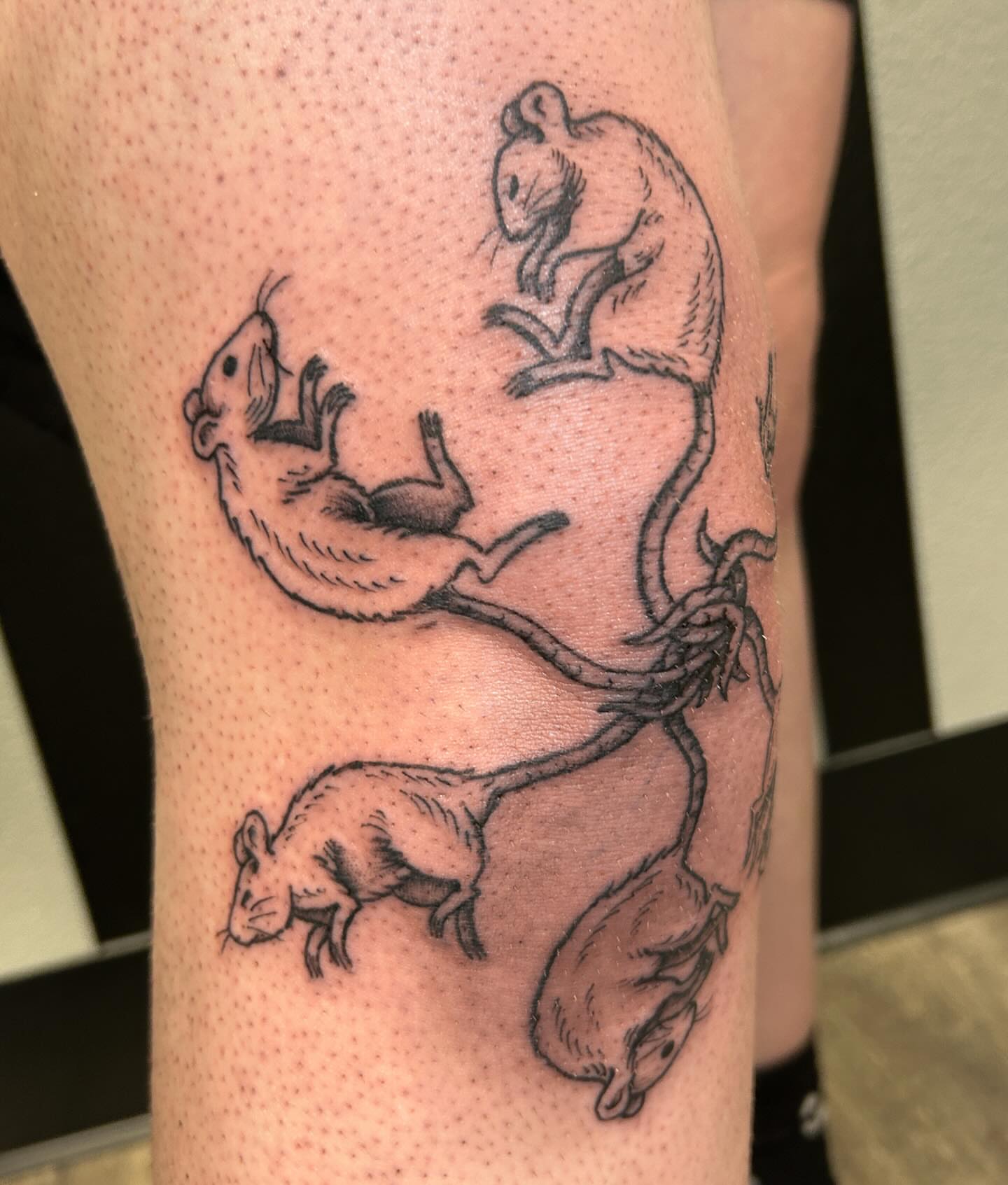 Mice dotwork tattoo on the forearm by Janelle McCarthy