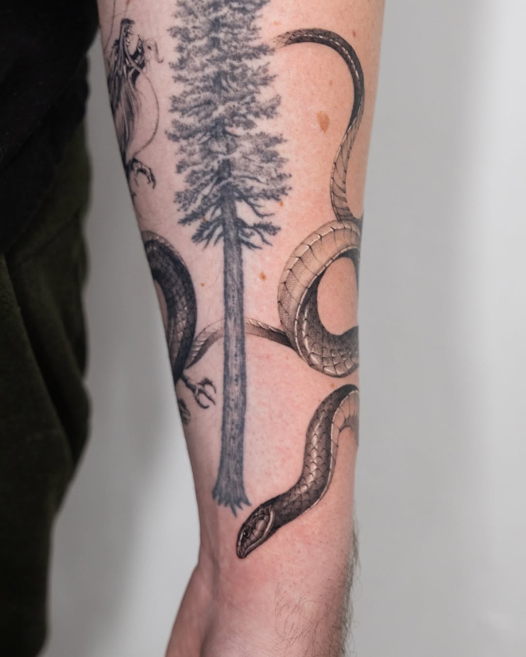 Tattoo by @turner_tattoos — realism, black_and_grey