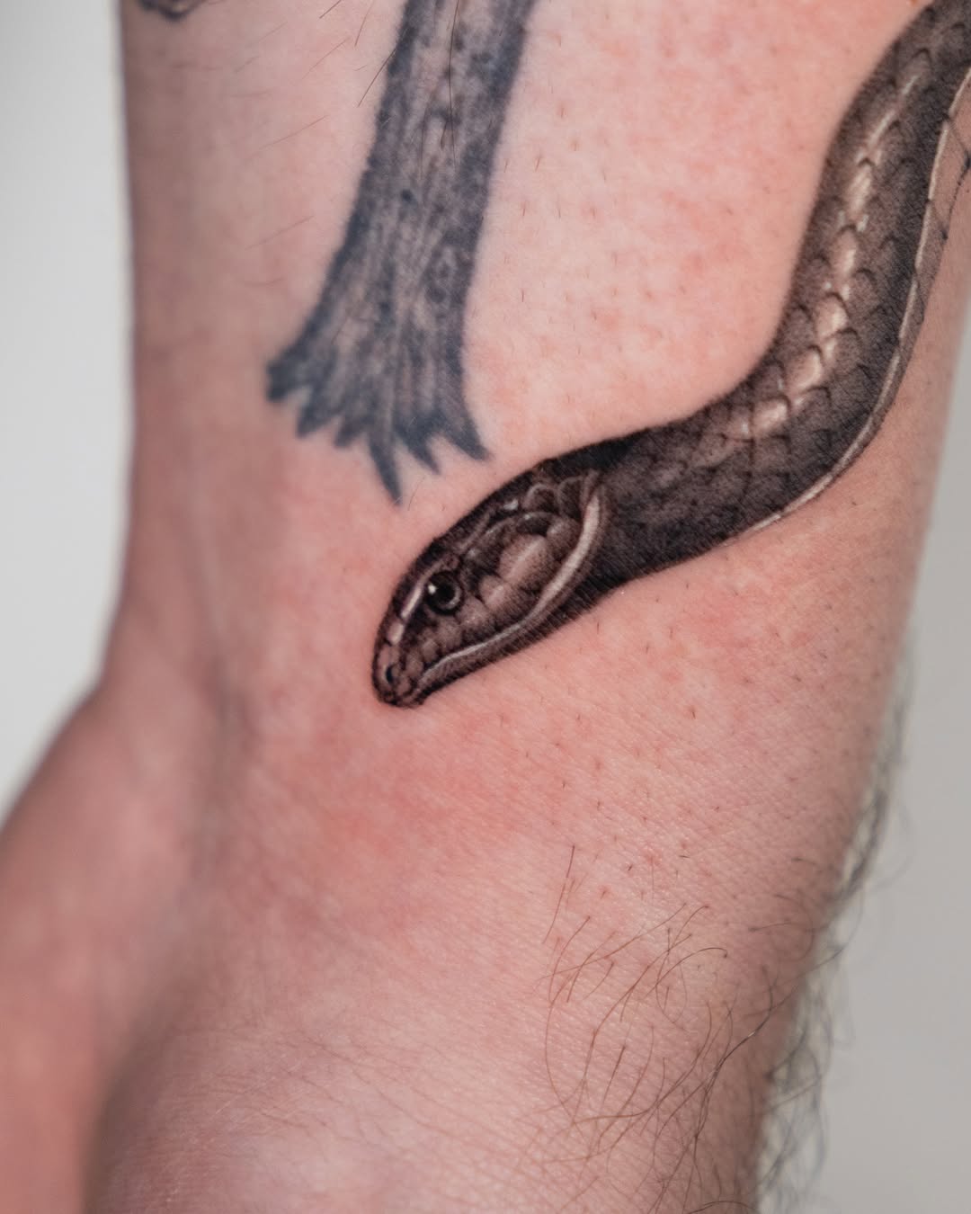 Tattoo by @turner_tattoos — realism, black_and_grey