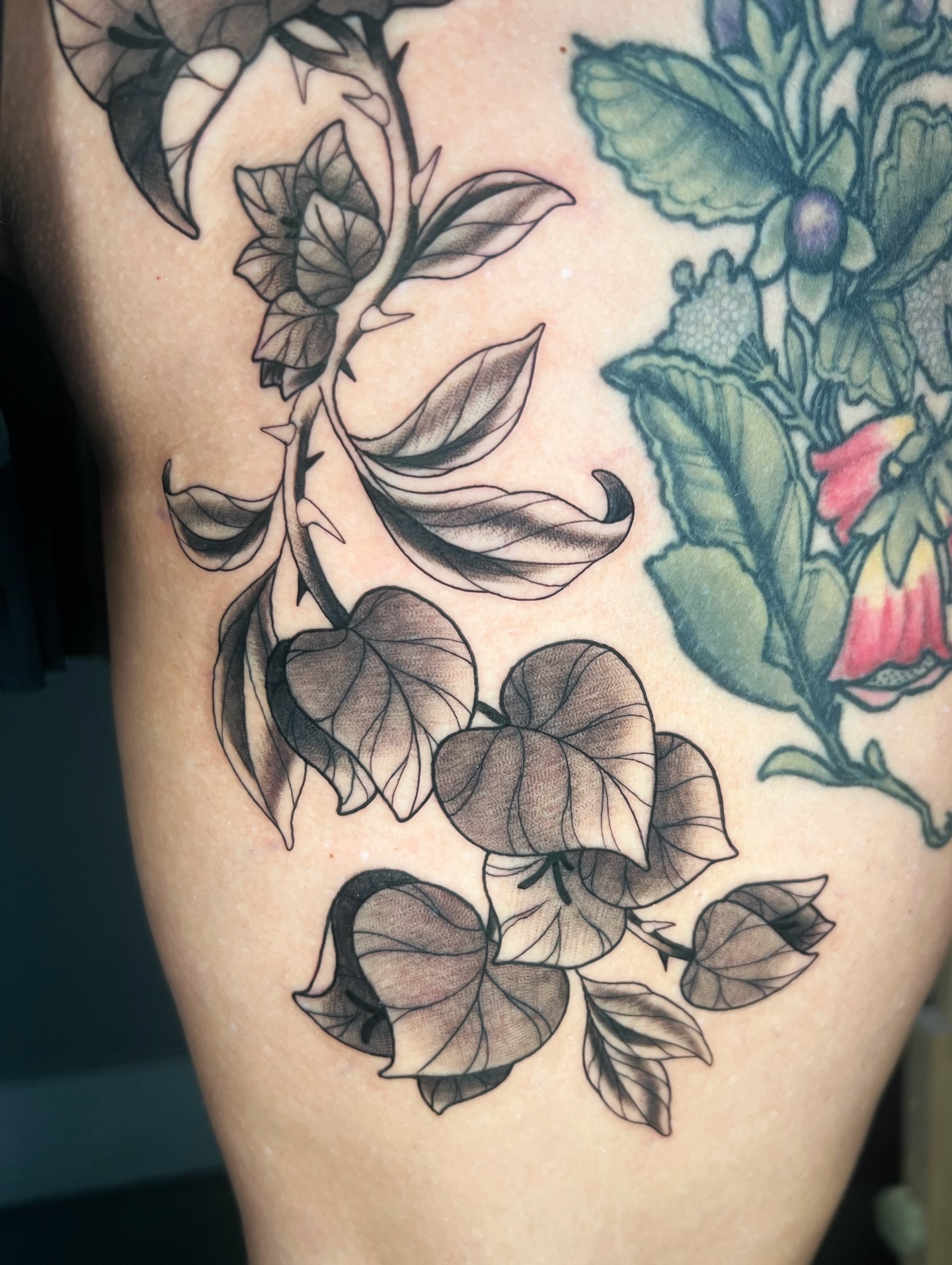Tattoo by @zoeysageink — black_and_grey