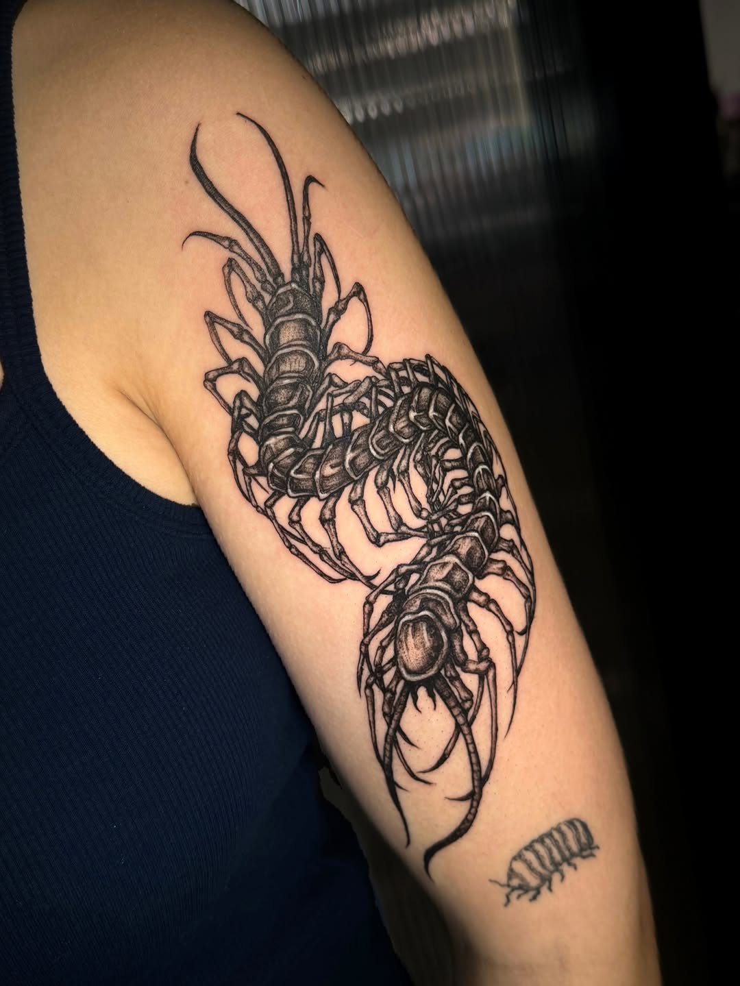 Tattoo by @tatbykam — black_and_grey, realism