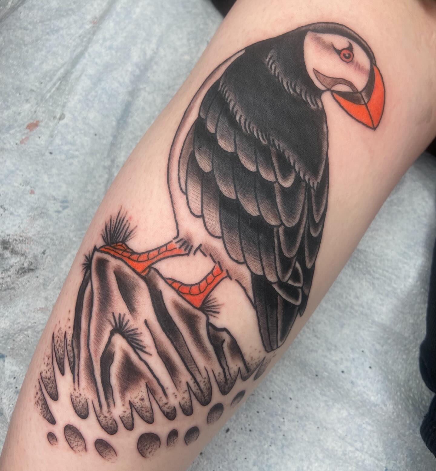 Puffin American traditional tattoo on the forearm by nicholas mcevoy, Boston, Massachusetts
