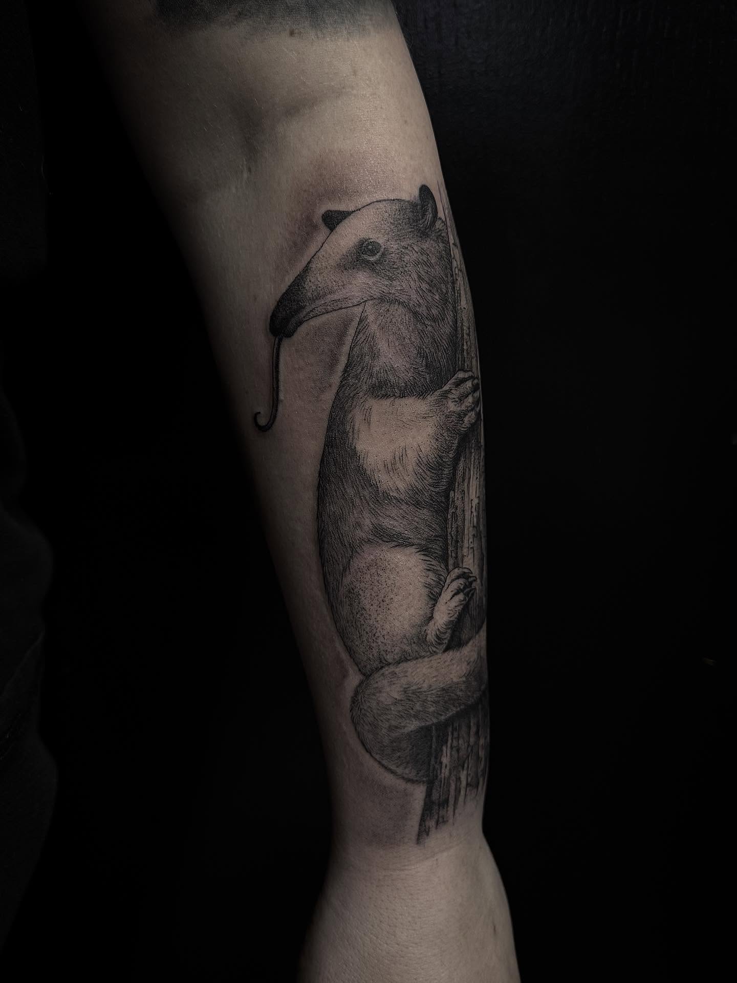 Anteater realism tattoo on the forearm by Bethbeforedishonor, Rochester, New York