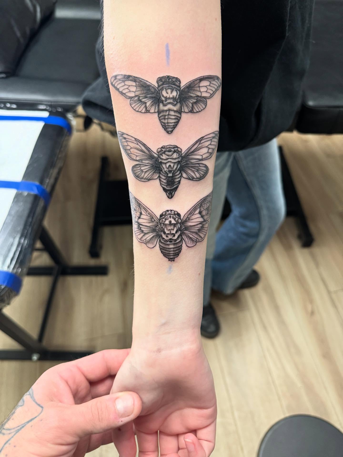 Three cicadas black and grey tattoo on the forearm by Jon Fleming