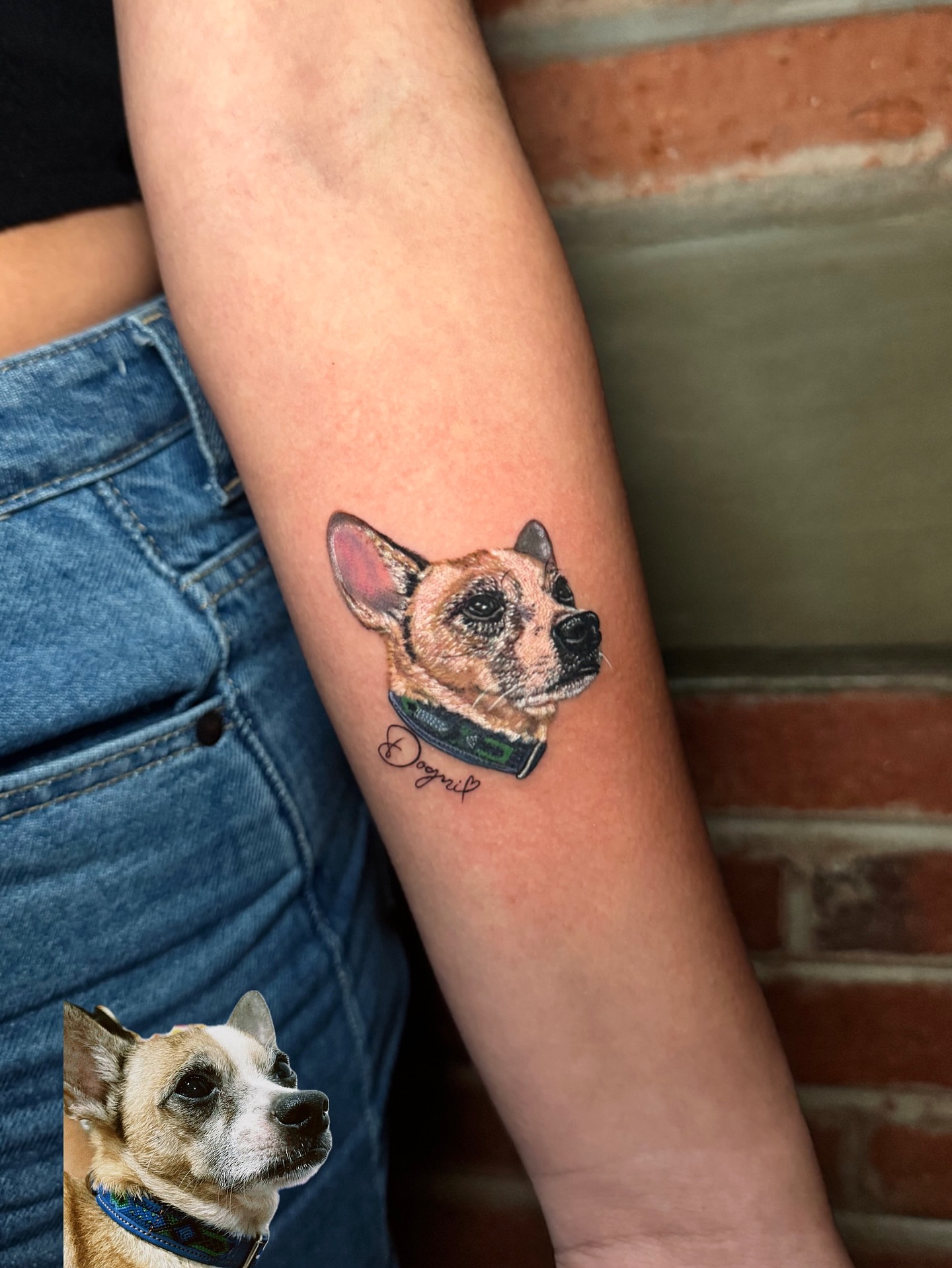 Dog portrait realism tattoo on the forearm by Mishel Castro