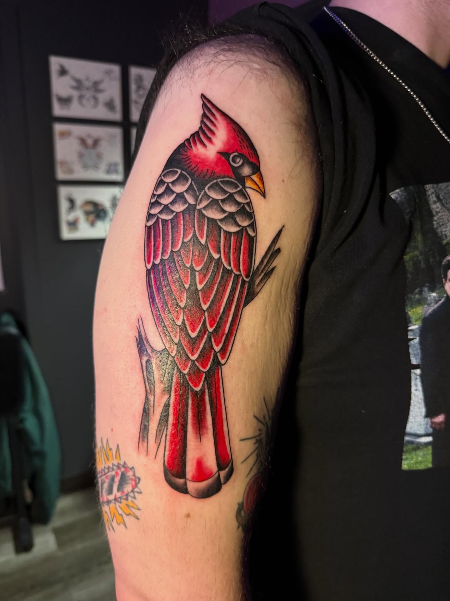 Cardinal bird American traditional tattoo on the shoulder by amelia morse ⋆。°✩ mi tattoo artist