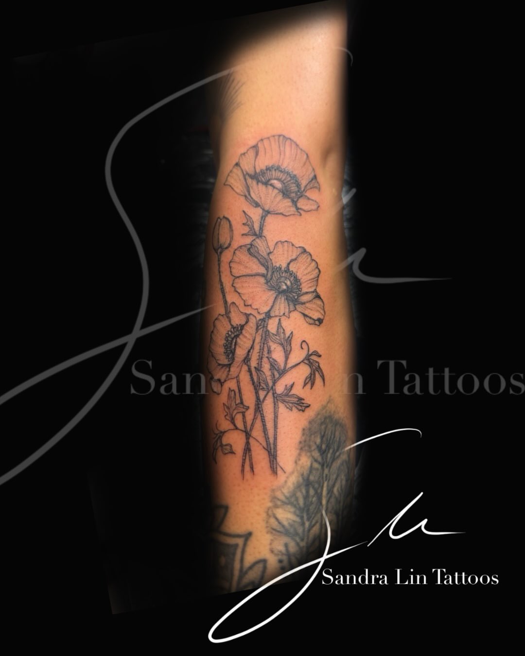 Poppy flowers black and grey tattoo on the forearm by Sandra Lin Cue