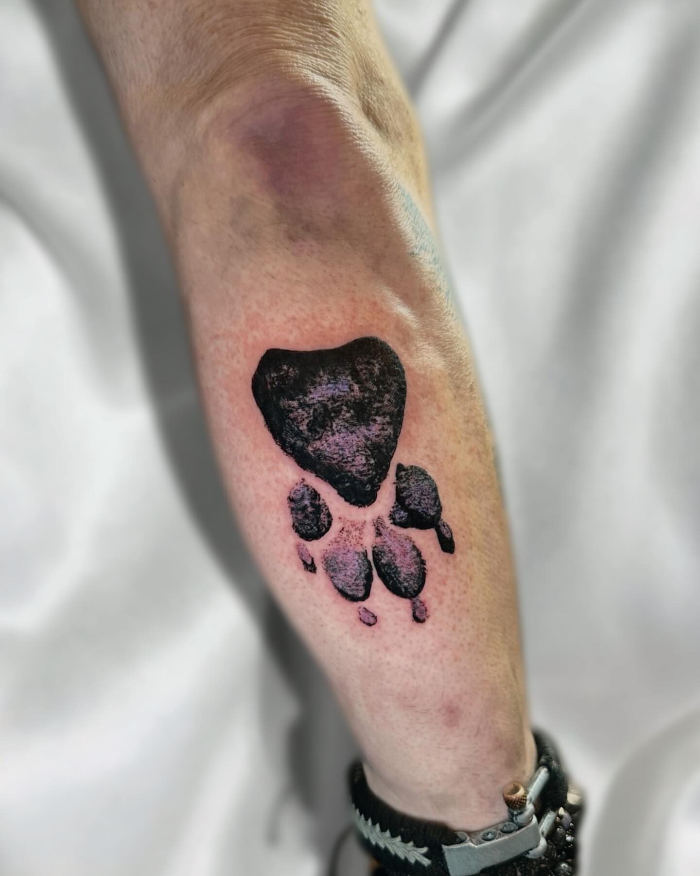 Paw print dotwork tattoo on the forearm by Lex
