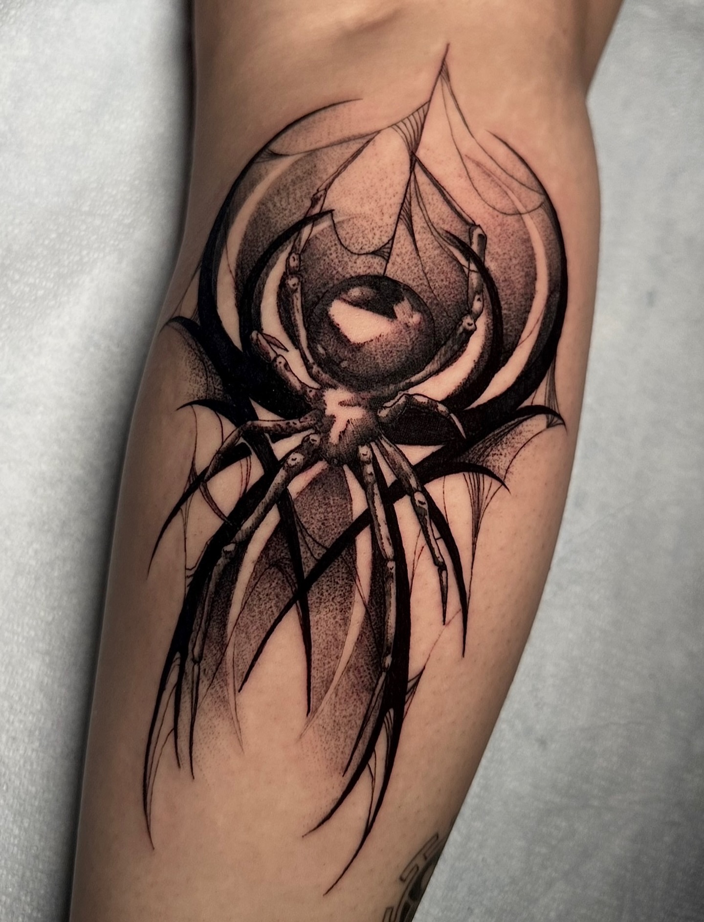 Spider dotwork tattoo on the forearm by Crystal, Las Vegas, Nevada
