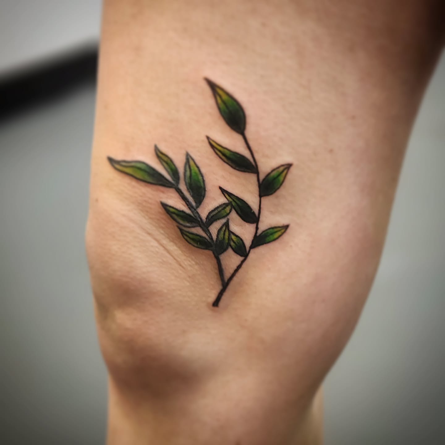 Branch with leaves dotwork tattoo on the forearm by Anntonietta Borzacchiello