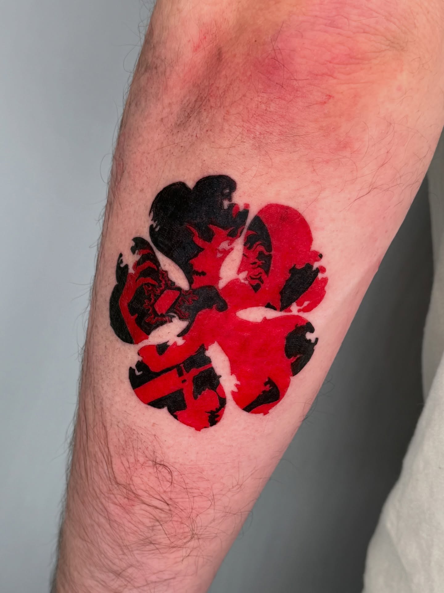 Lion and shield American traditional tattoo on the forearm by Jerm Lewis