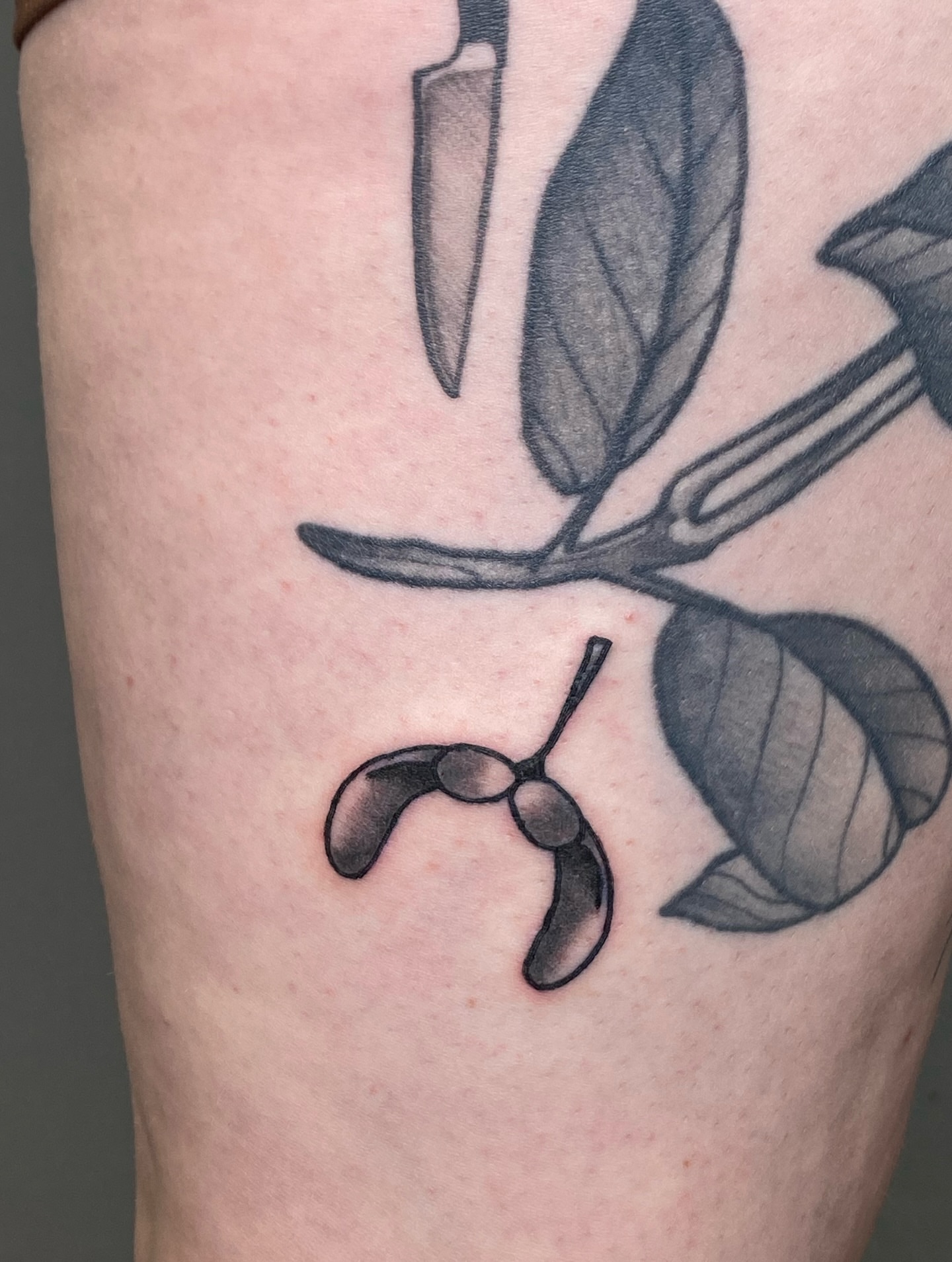 Peach pits and leaves black and grey tattoo on the forearm by Corinne Carter