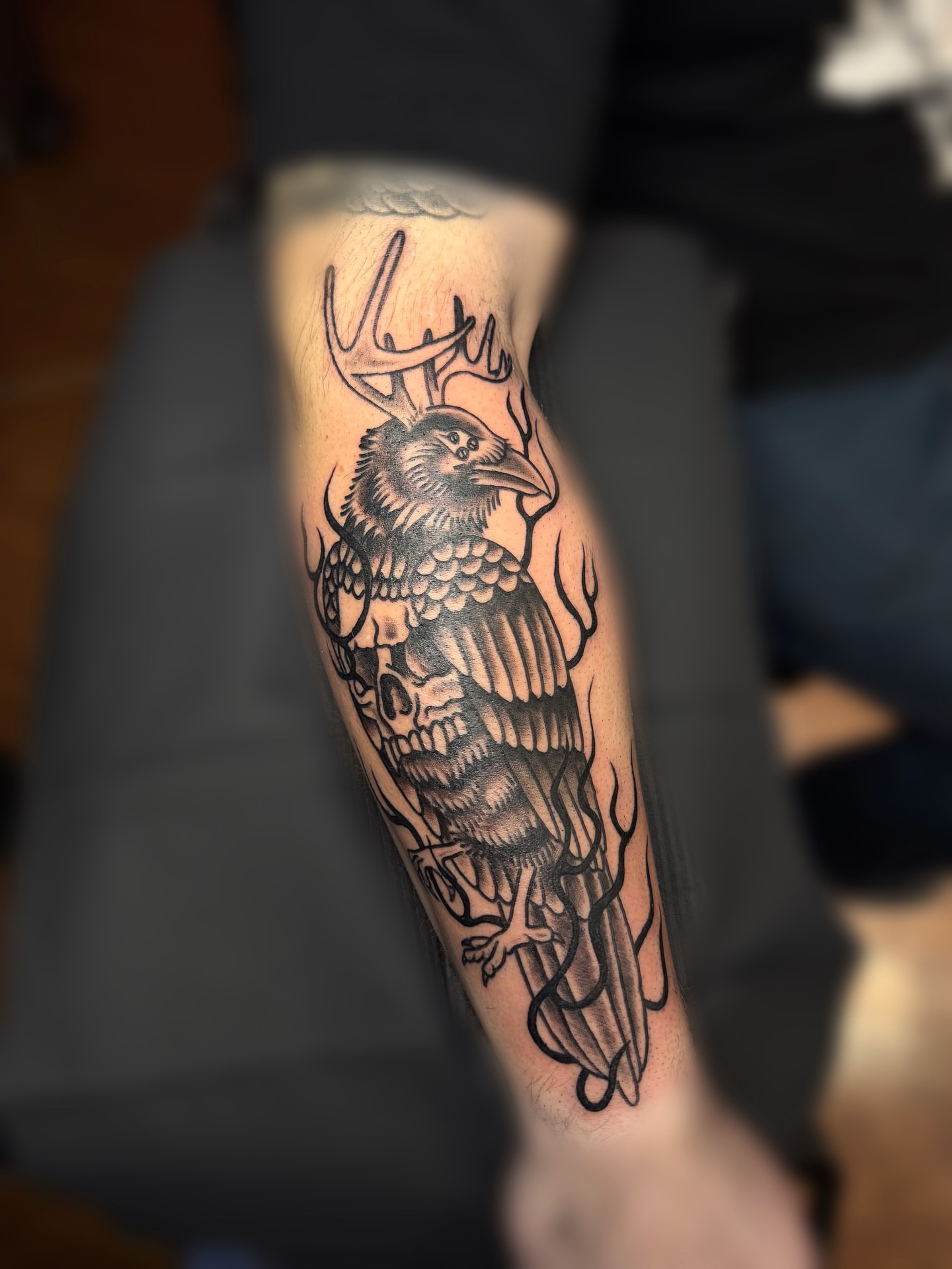 Raven with antlers American traditional tattoo on the forearm by juice🕷tattoo artist
