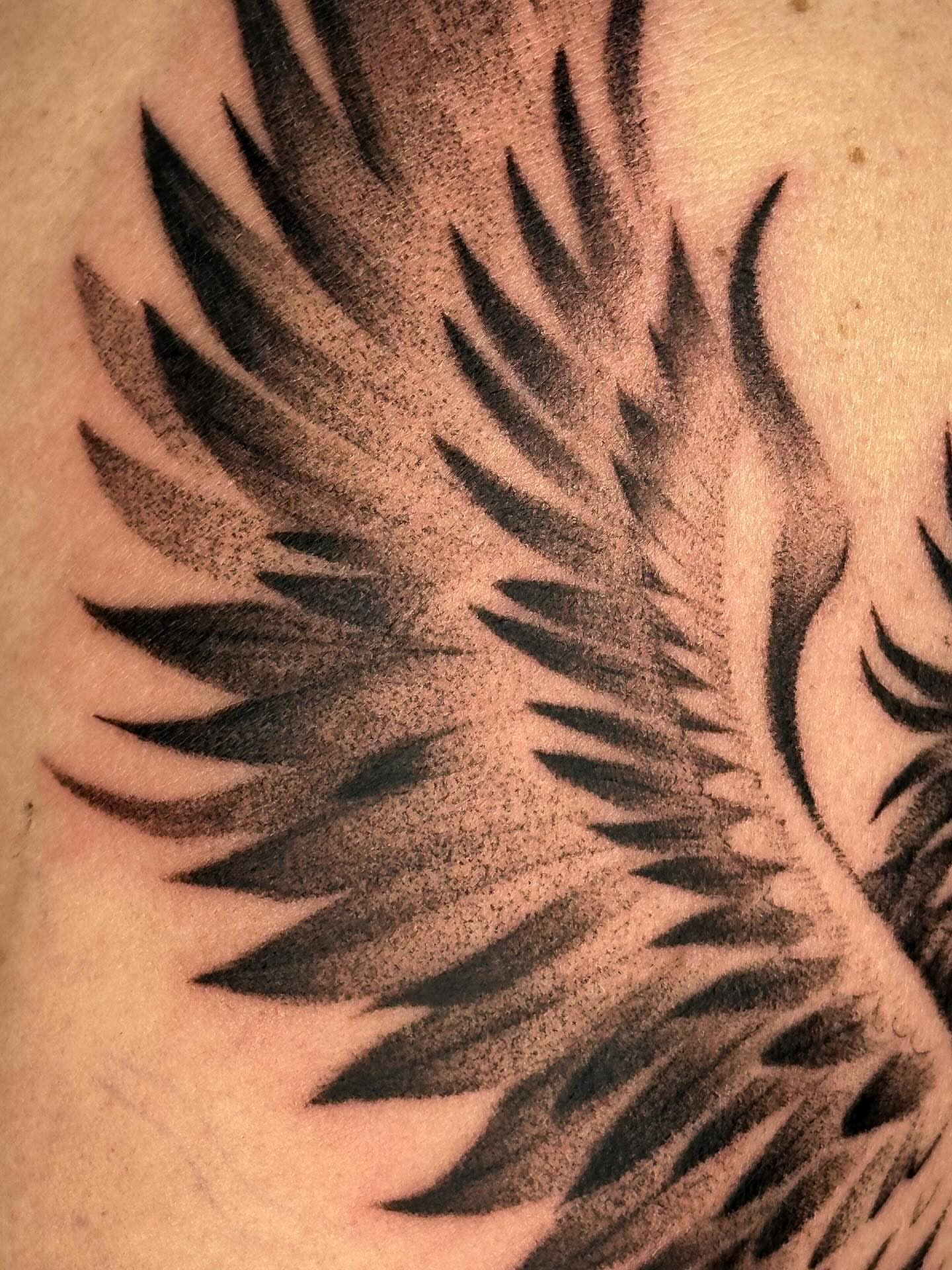 Feather black and grey tattoo on the shoulder by sarah