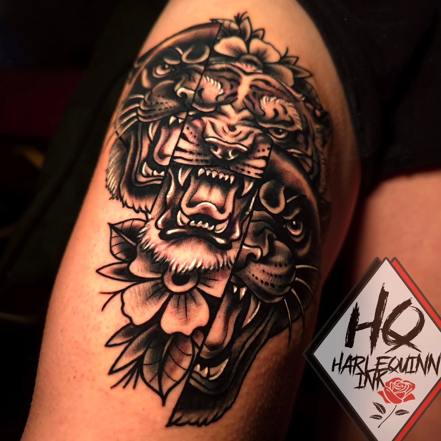 Roaring tiger American traditional tattoo on the upper arm by HarleQuinn_Ink