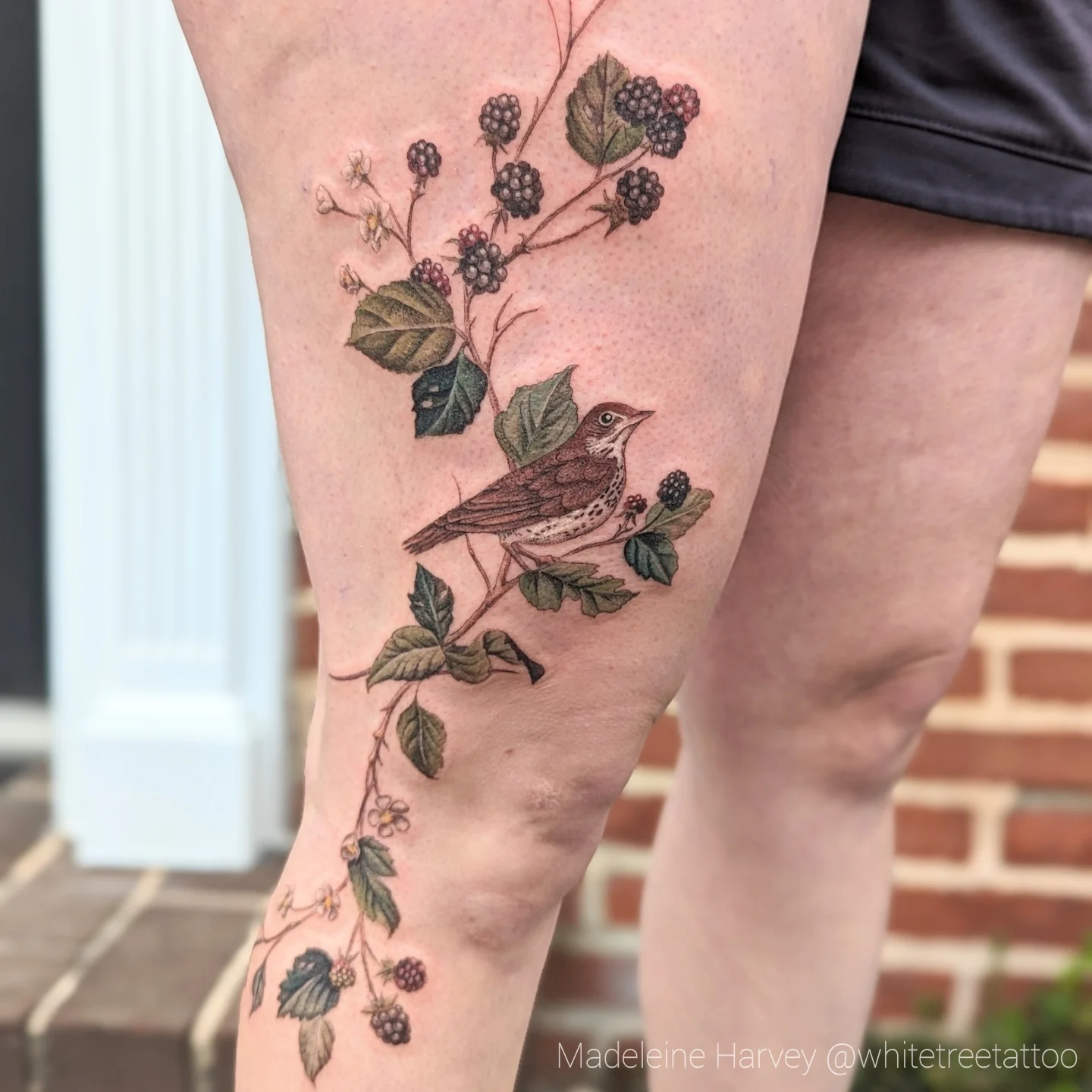 Bird and blackberry bush realism tattoo on the thigh by Maddie