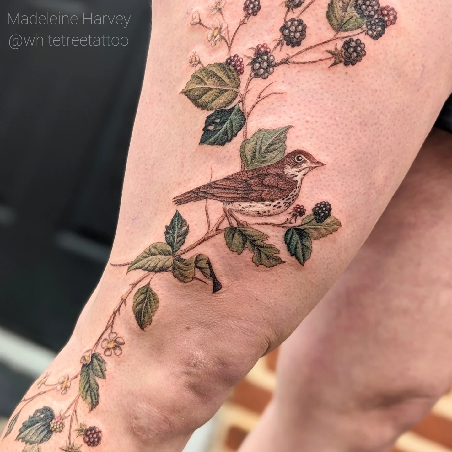 Bird and berries realism tattoo on the forearm by Maddie