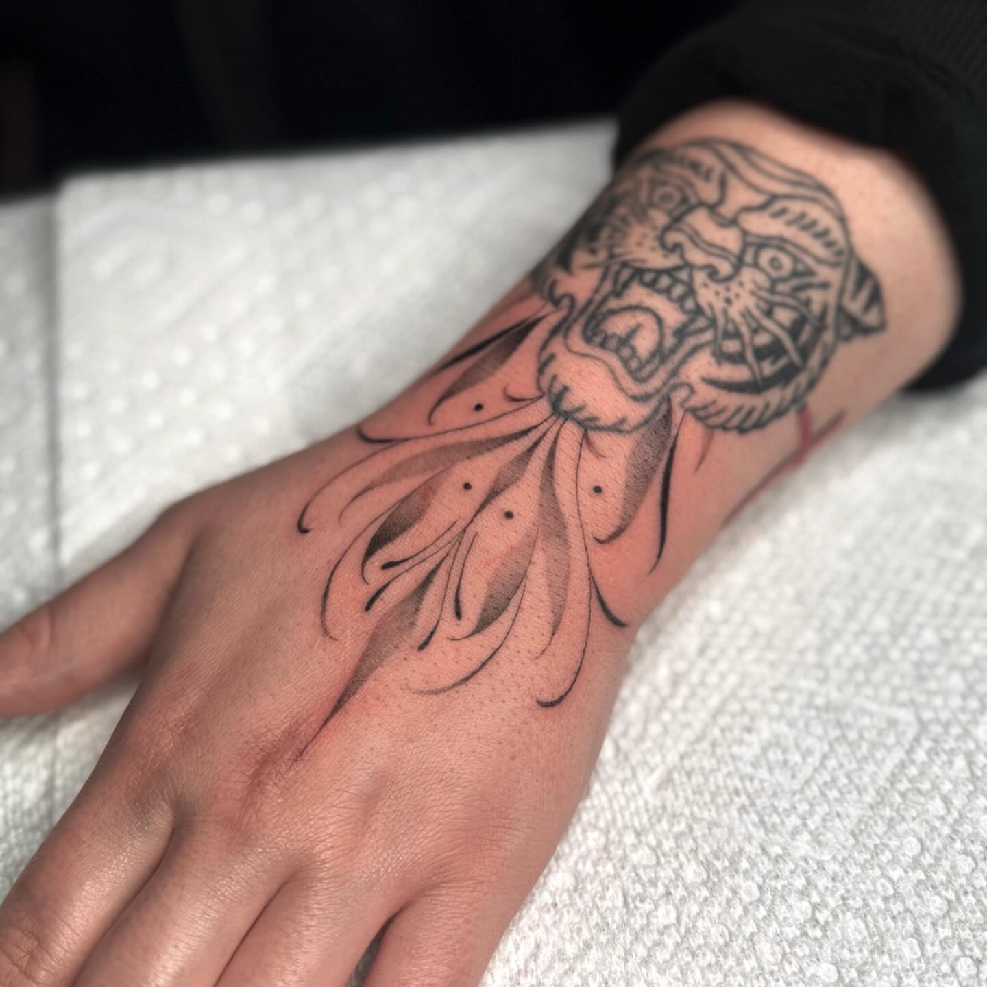 Tiger head American traditional tattoo on the forearm by Jas Knight