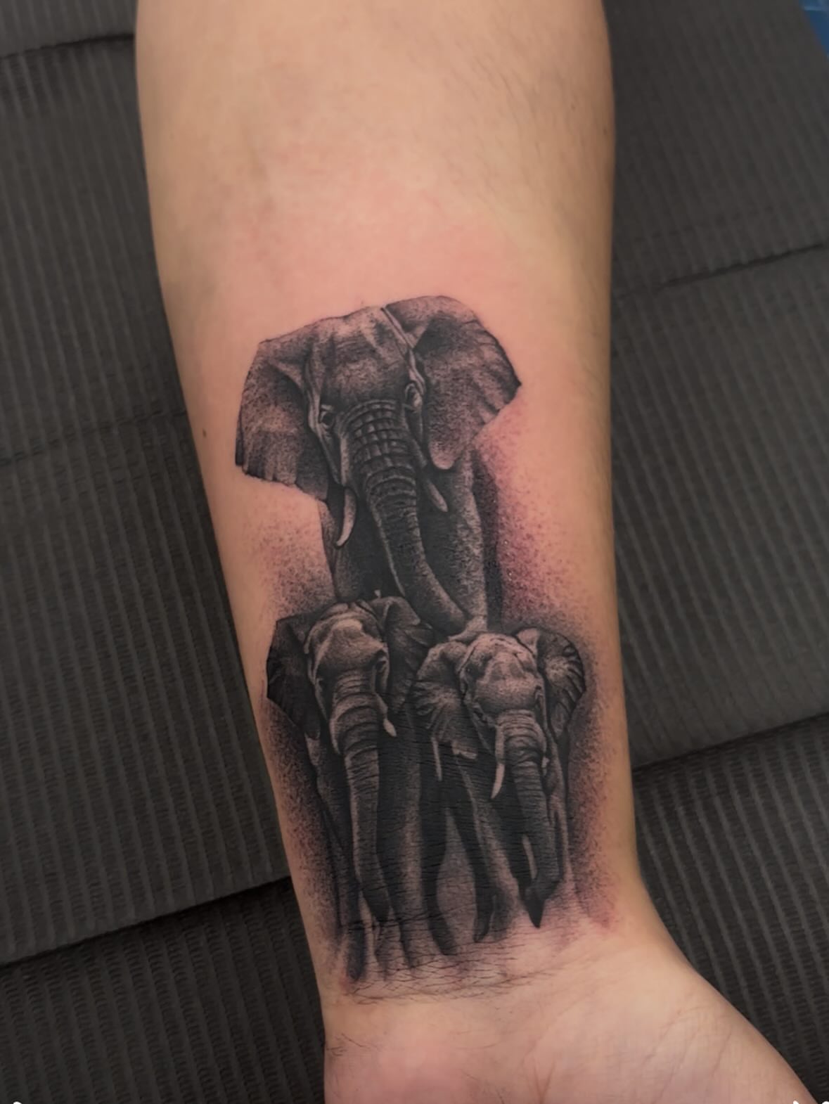 Elephants dotwork tattoo on the forearm by orlando