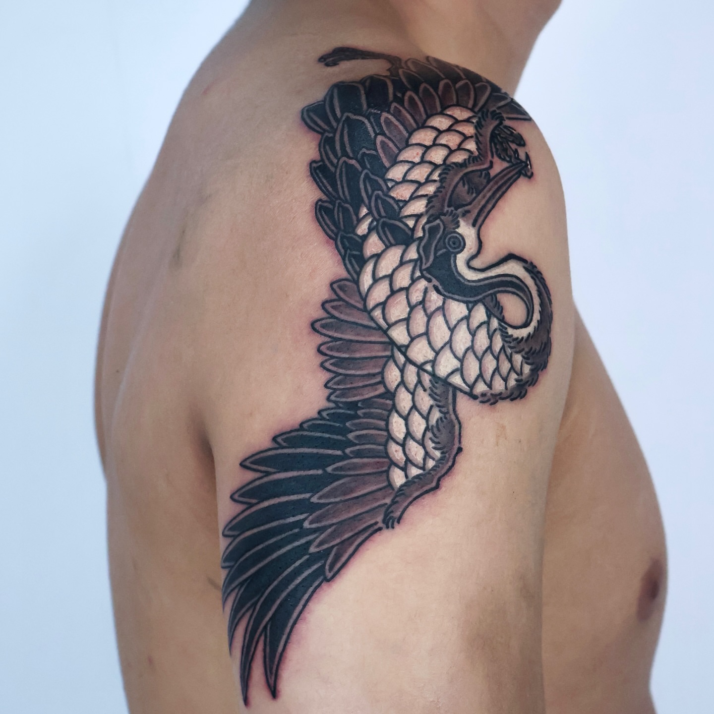 Winged dragon black and grey tattoo on the shoulder by JM kim, Melbourne, Victoria