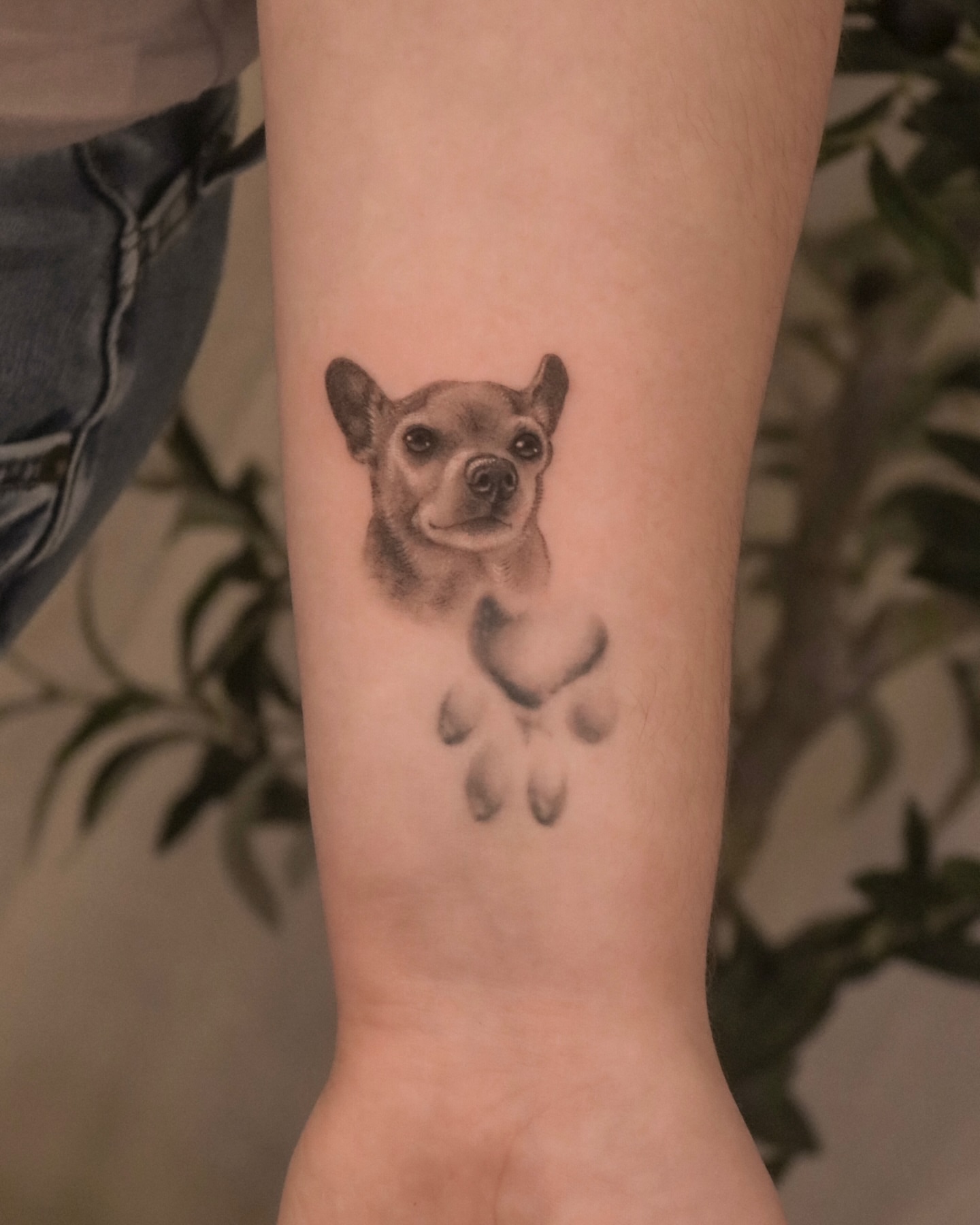 Dog realism tattoo on the forearm by Nicholas Solomon