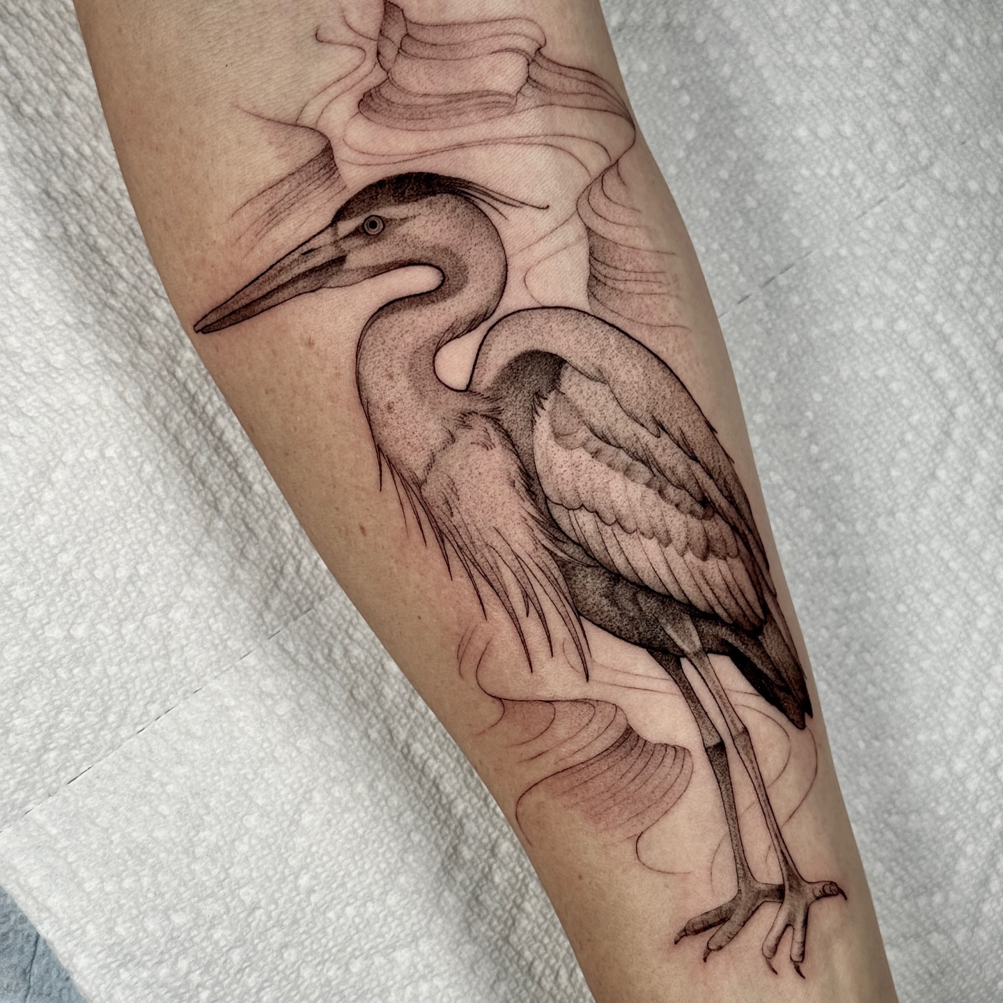 Heron dotwork tattoo on the forearm by Molly Murray