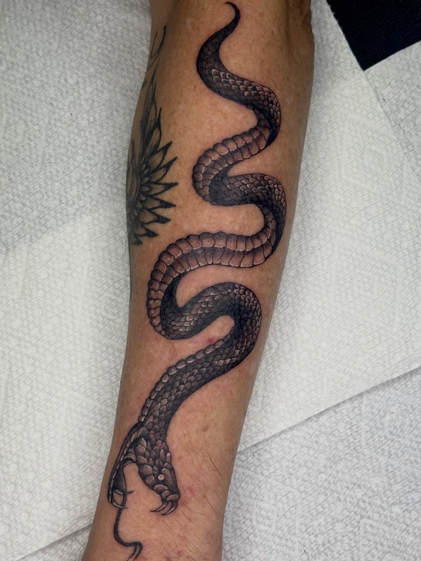 Tattoo by @taylor_bracey — black_and_grey