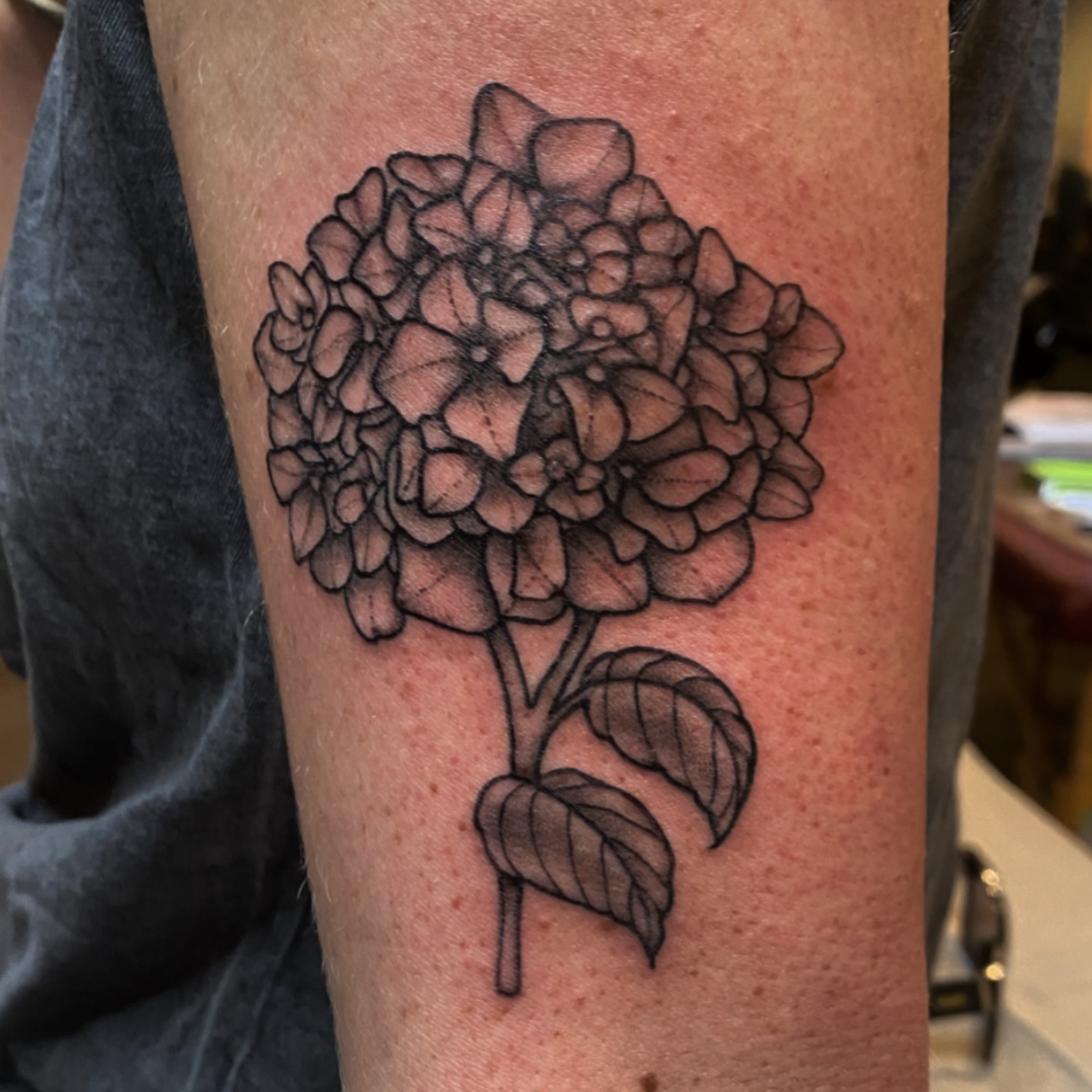 Tattoo by @katelaw_tattoos — black_and_grey
